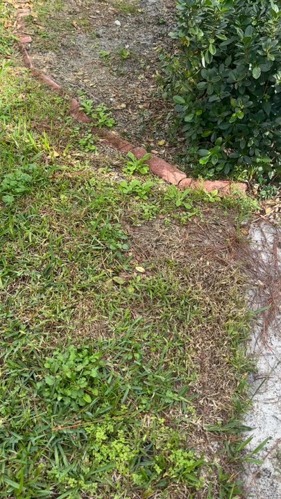 PurLawn - Pest Control Near Me - Delray Beach, Florida
