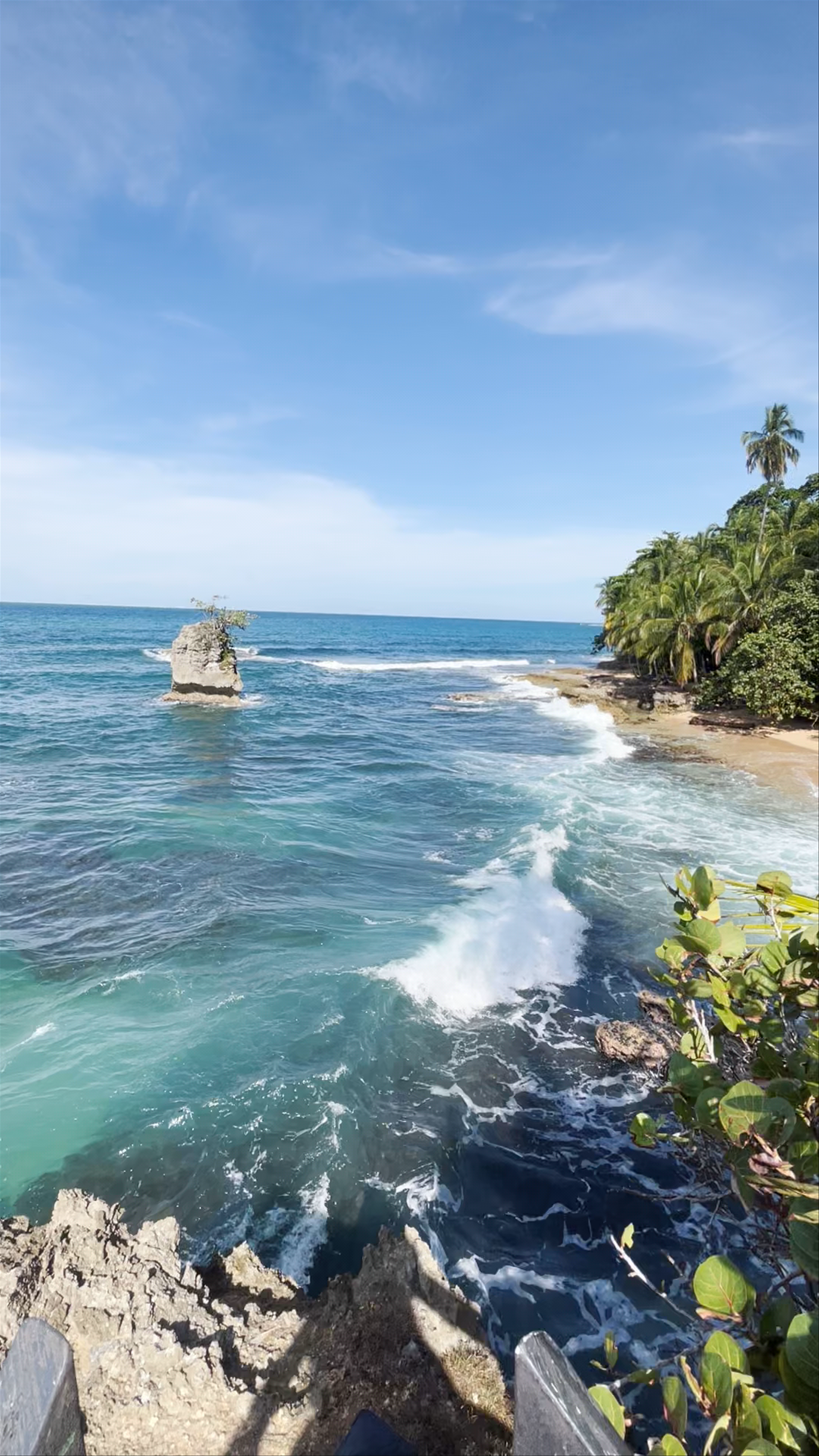 Mirador Manzanillo