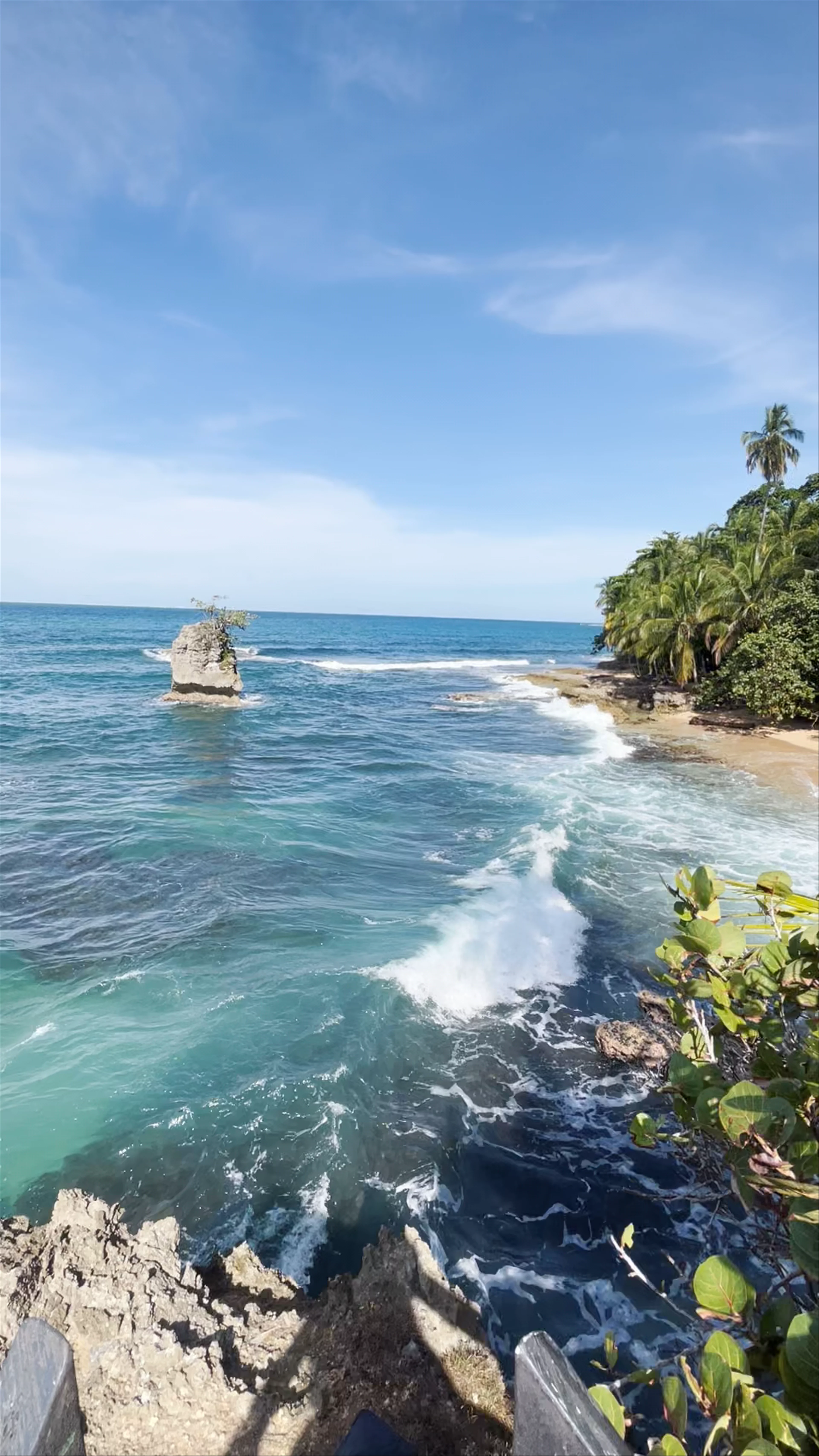 Mirador Manzanillo