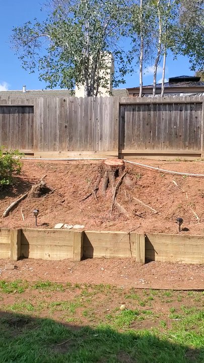 Duran's Tree service - Tree Services Near Me