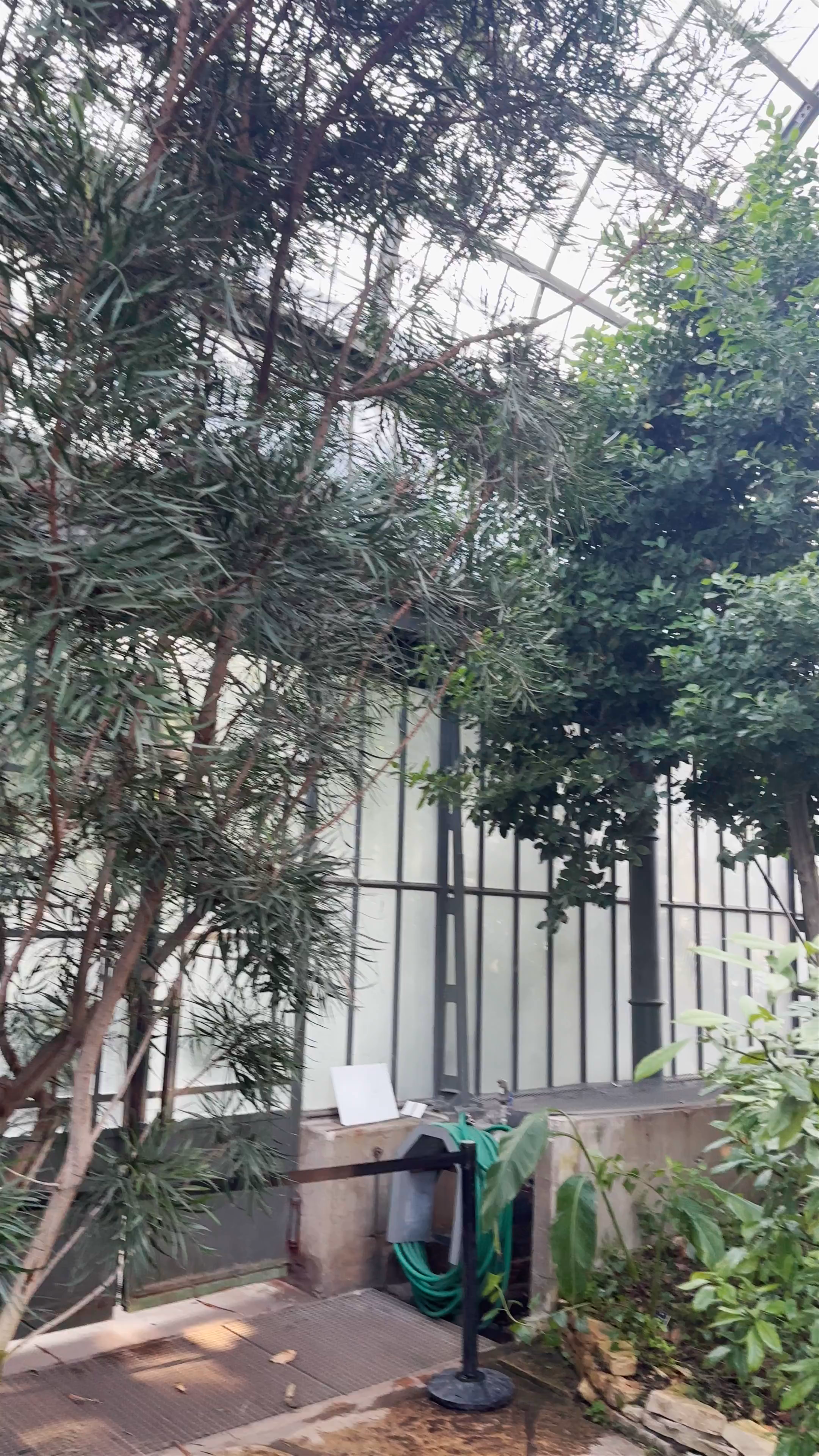 Lyon Botanical Garden