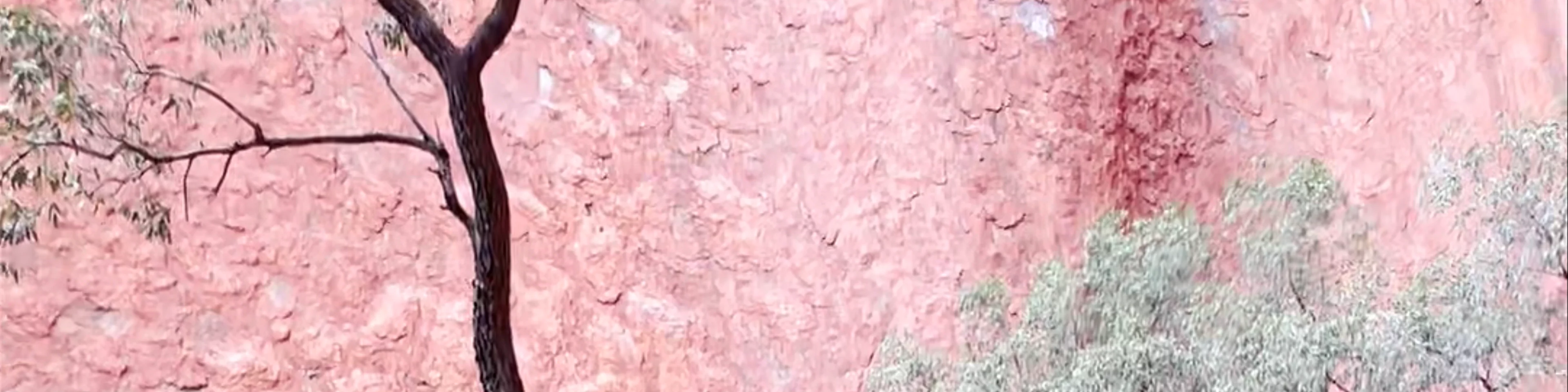 Uluru