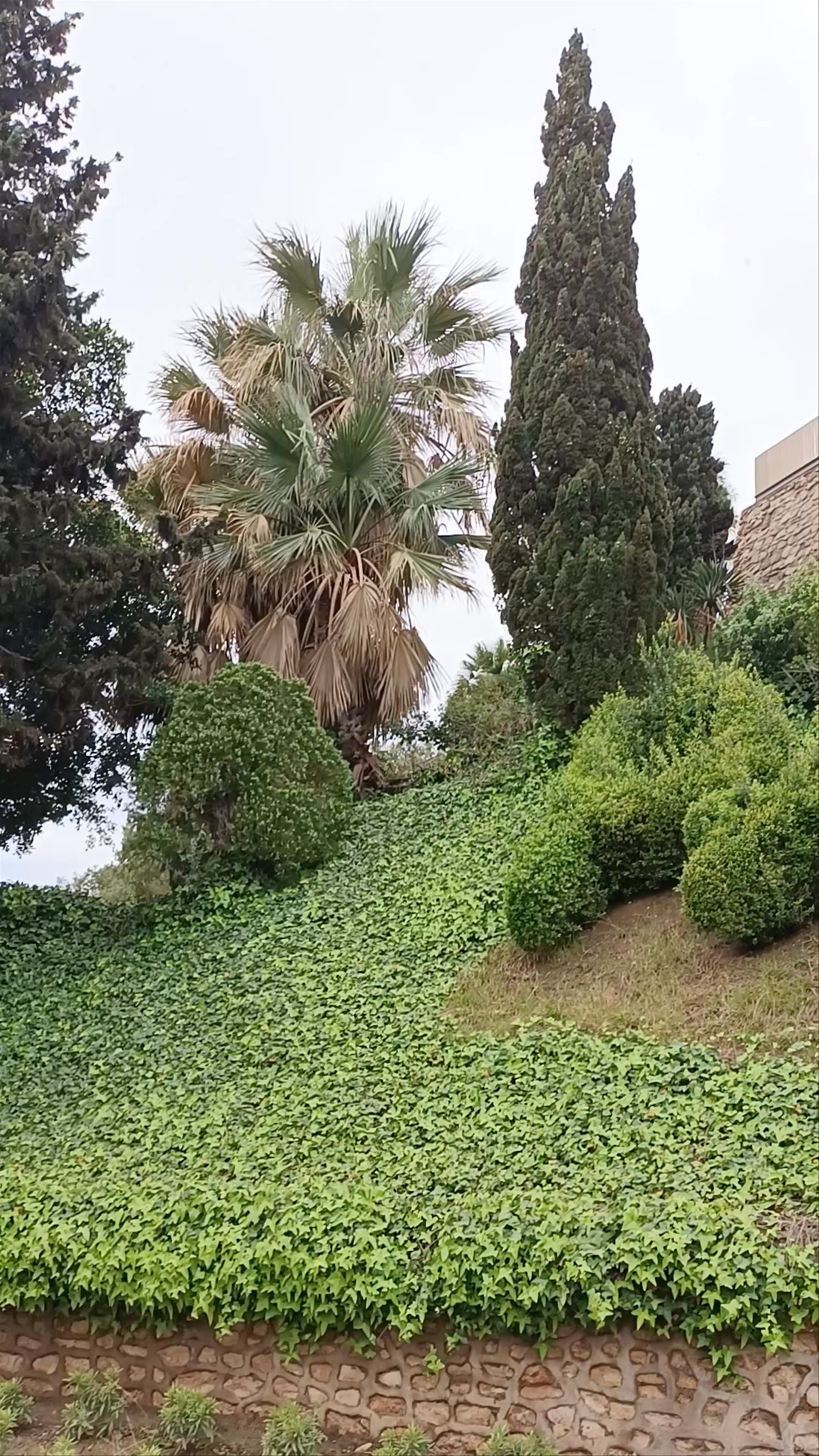 Verdant Serenity at Parque Torres, Cartagena