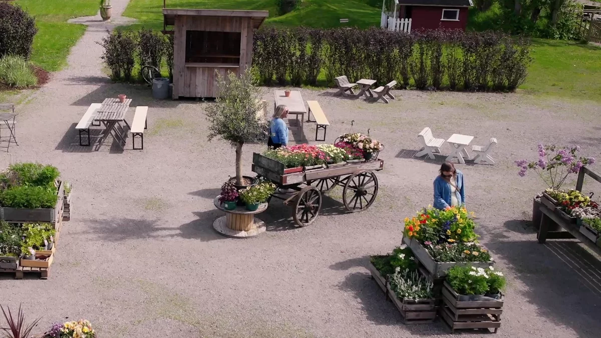 People visiting a farm shop and looking at flowers