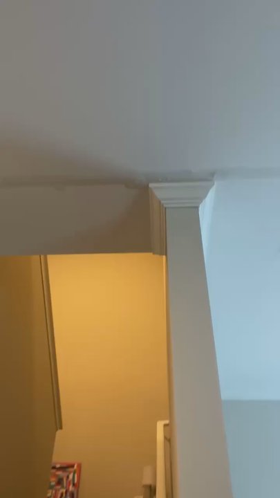 The Ridge Clemson - Water damage in our ceiling, that was there upon me moving in to the unit in August 2024 - Apartments Near Me - Central, South Carolina