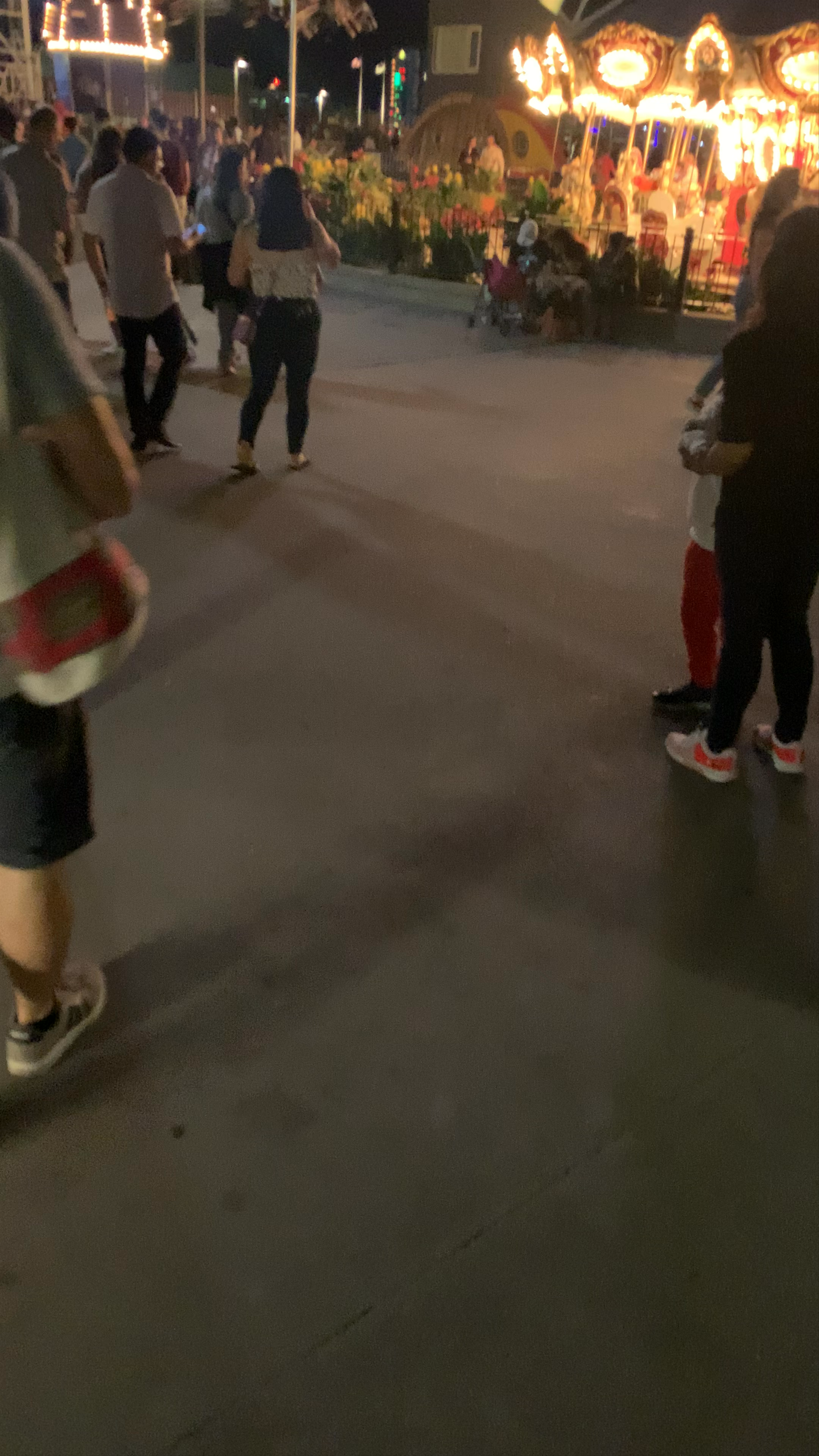 Navy Pier