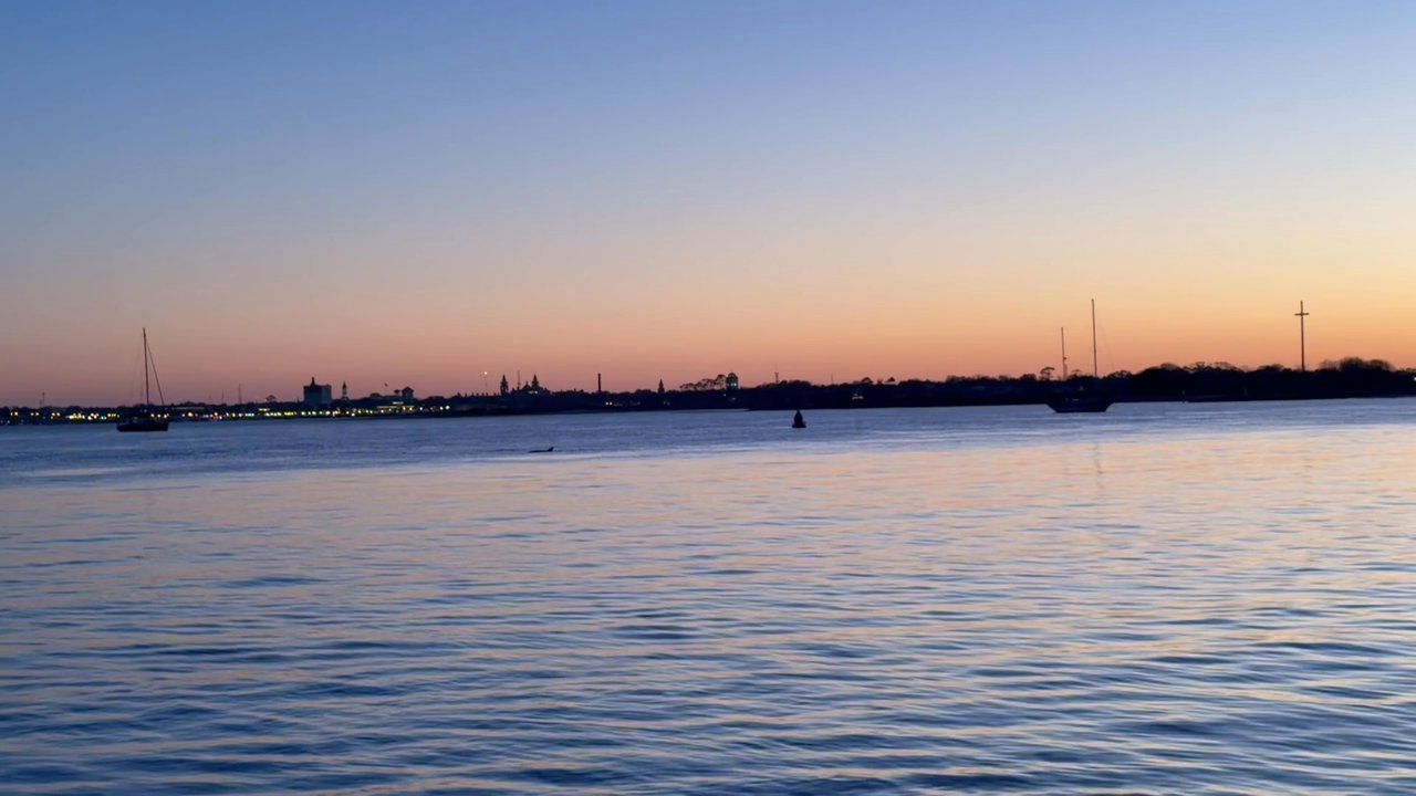 Adventure Boat Tours - Dolphins - Boat Tours Near Me - St. Augustine, Florida