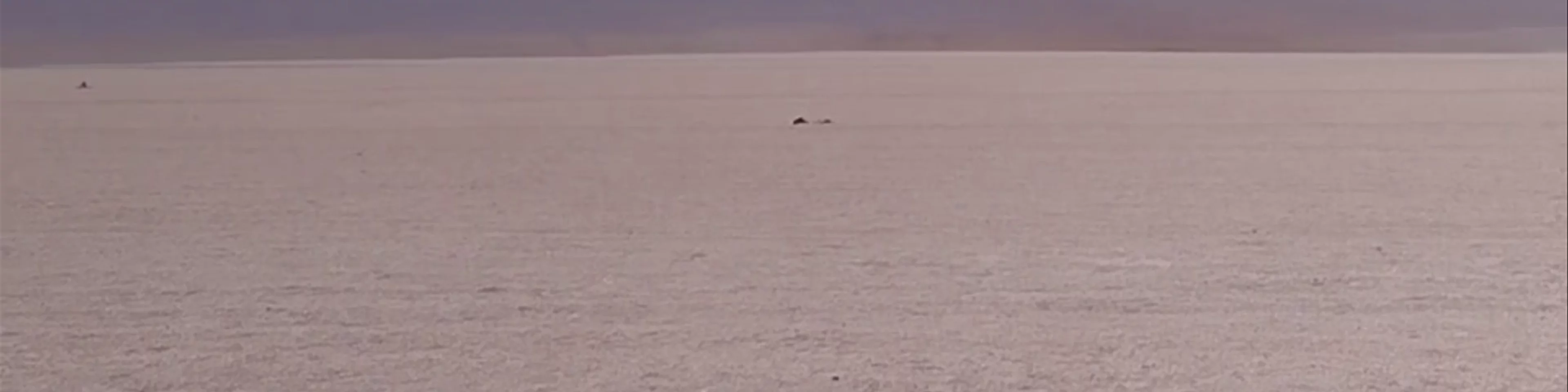 Salvador Dalí Desert