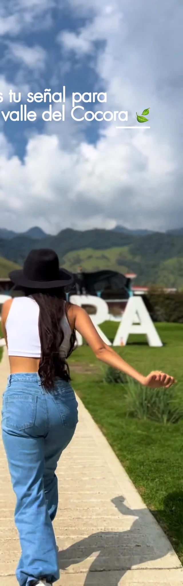 conoce Cocora!