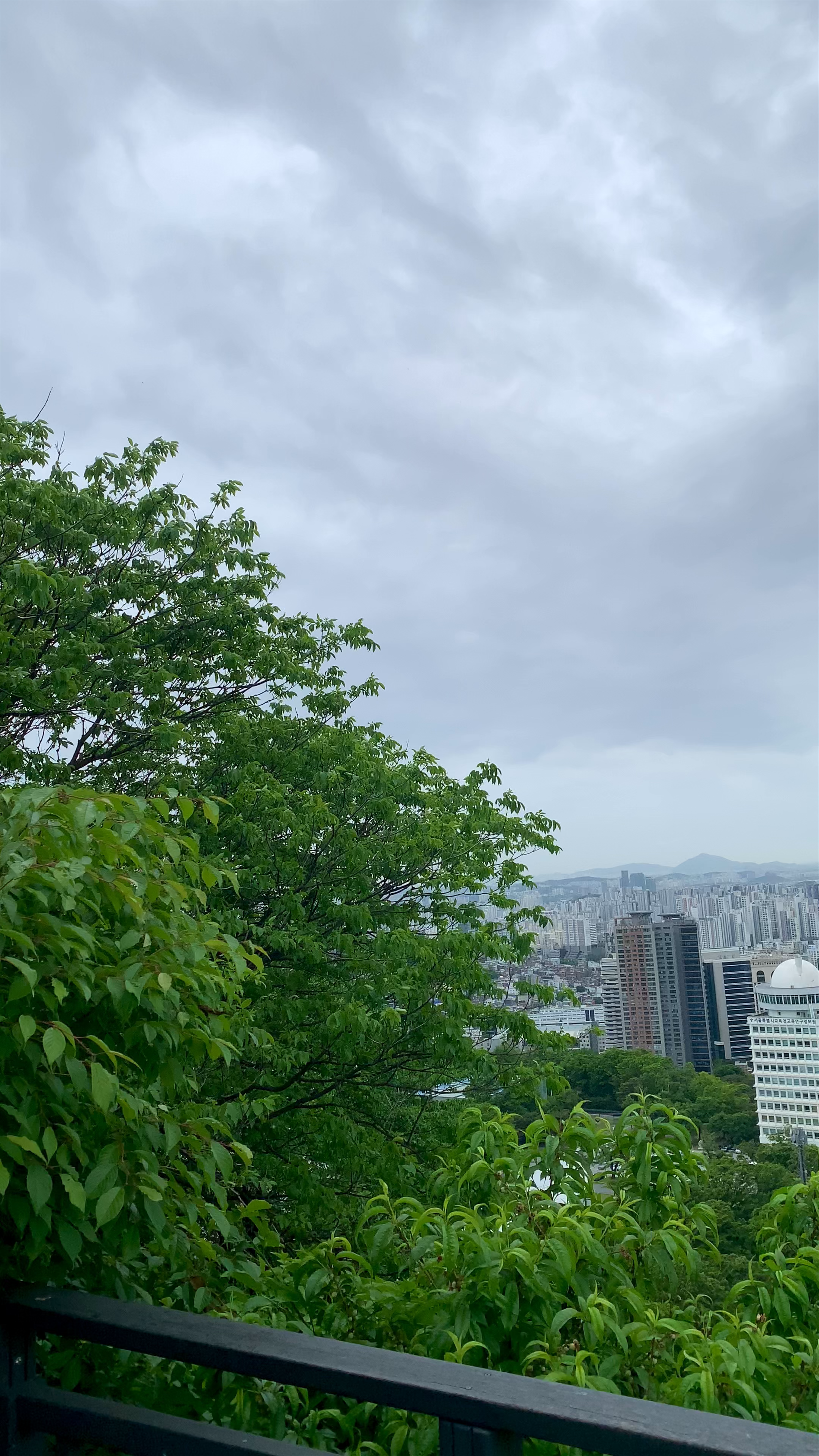 Namsan Park Viewpoint: Breathtaking Skyline & Natural Escape in Seoul