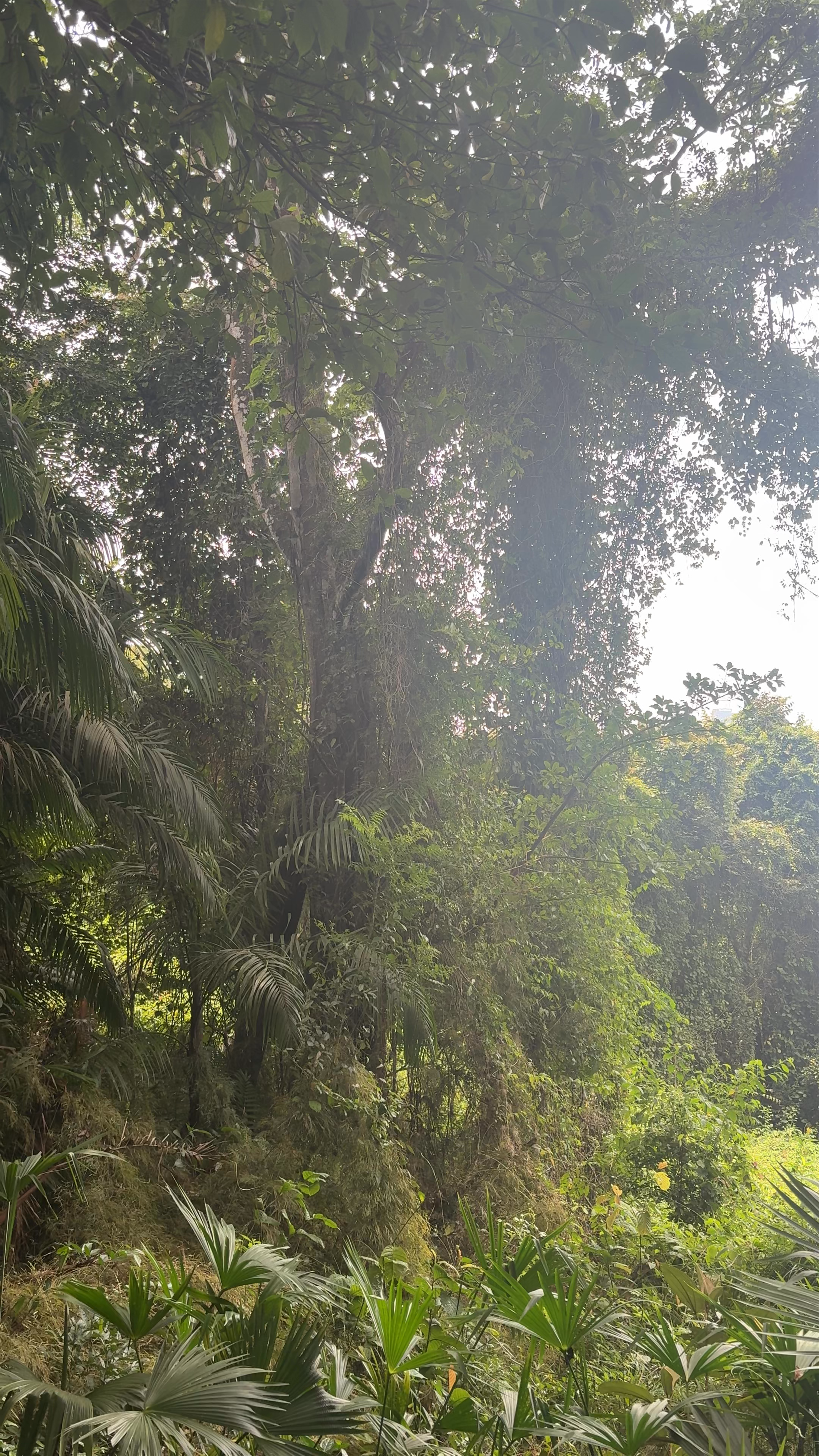 Metropolitan Natural Park