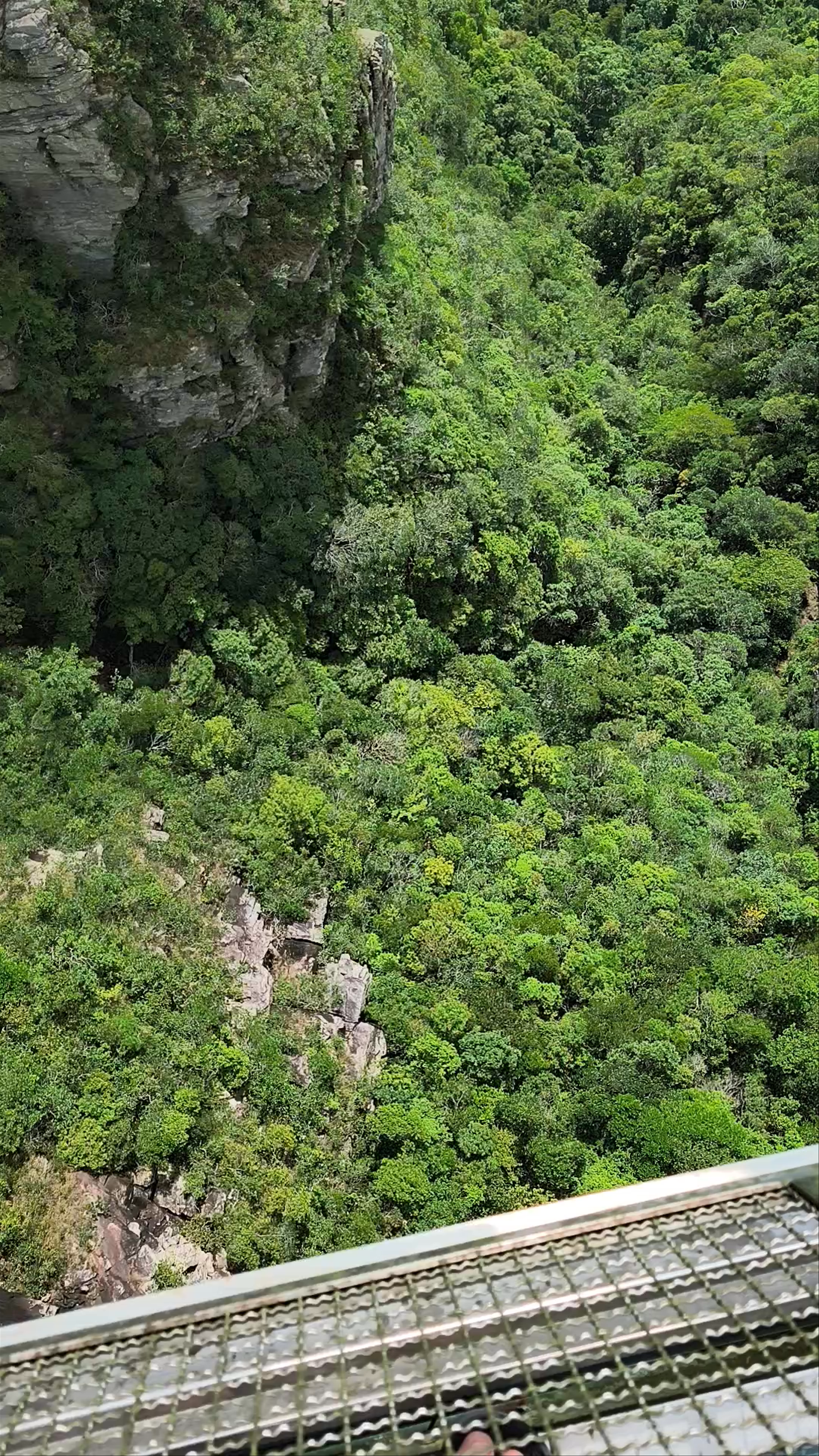 Hutan Lipur Air Terjun Temurun