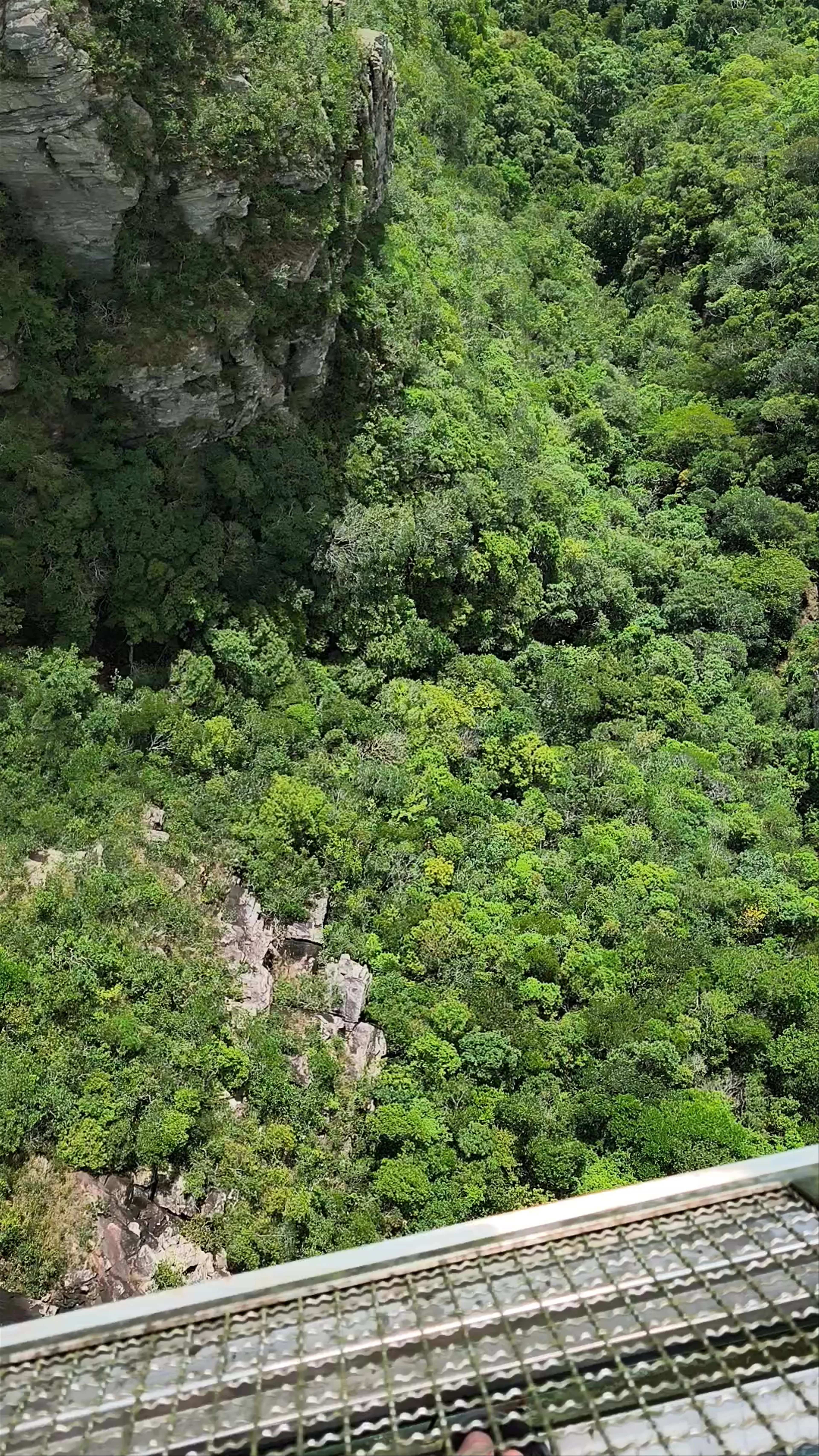 Hutan Lipur Air Terjun Temurun