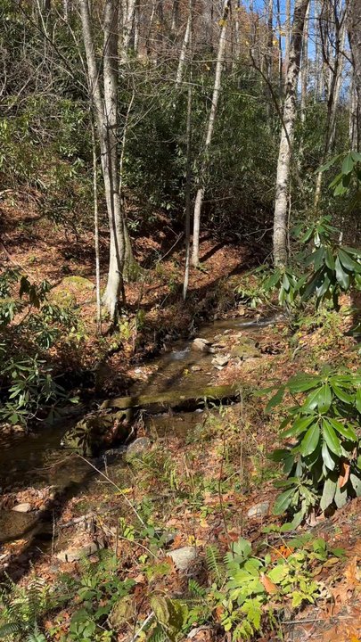 Soco Falls - Hiking Near Me