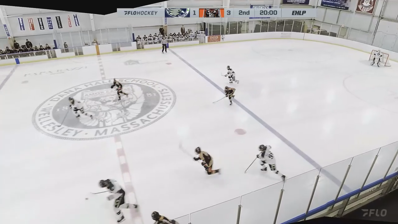 Eli Caine's Highlight Reel: Dominating Post Play & Stellar Saves