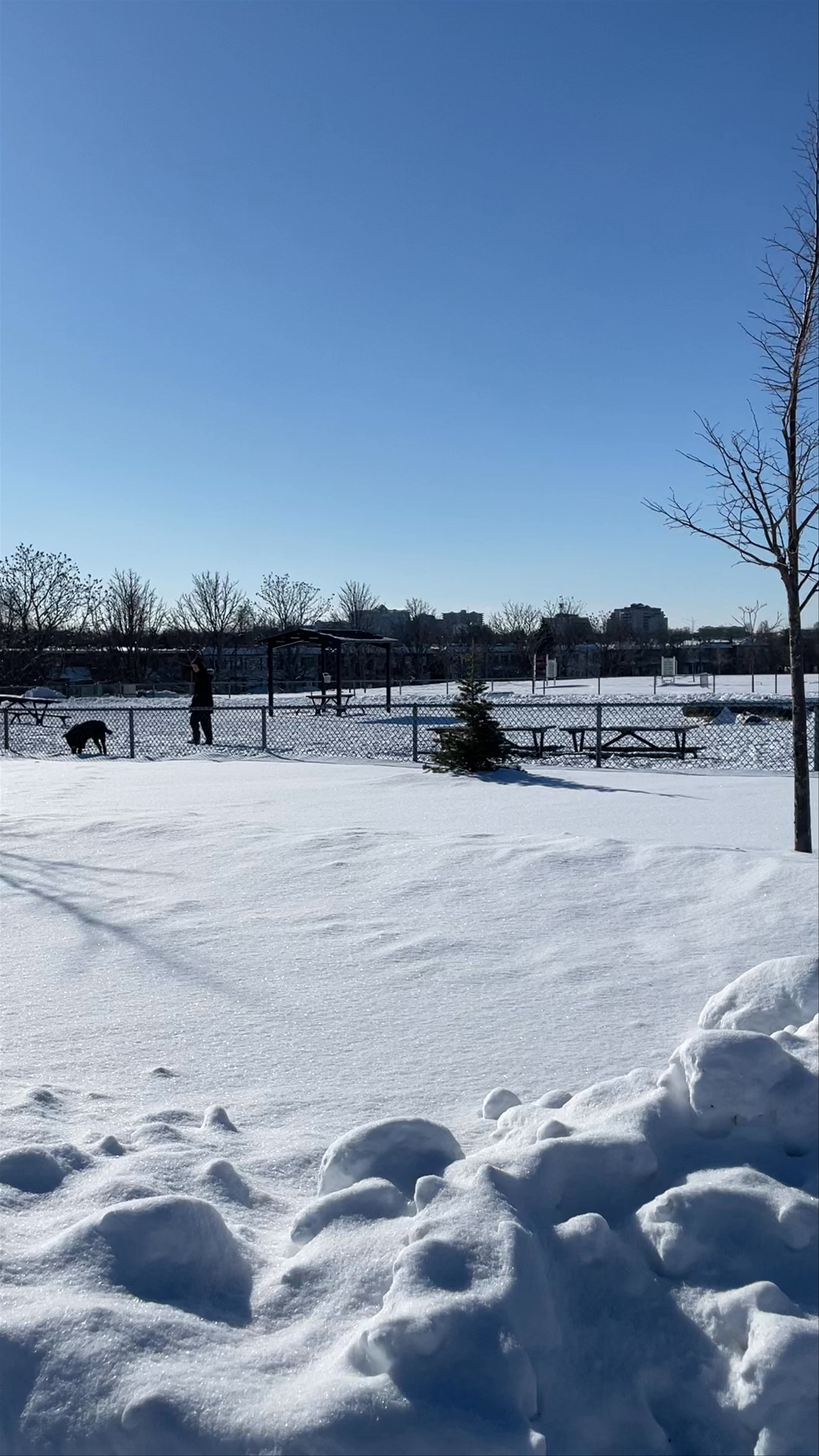 Winter Walk at Parc Félix-Leclerc, Montréal