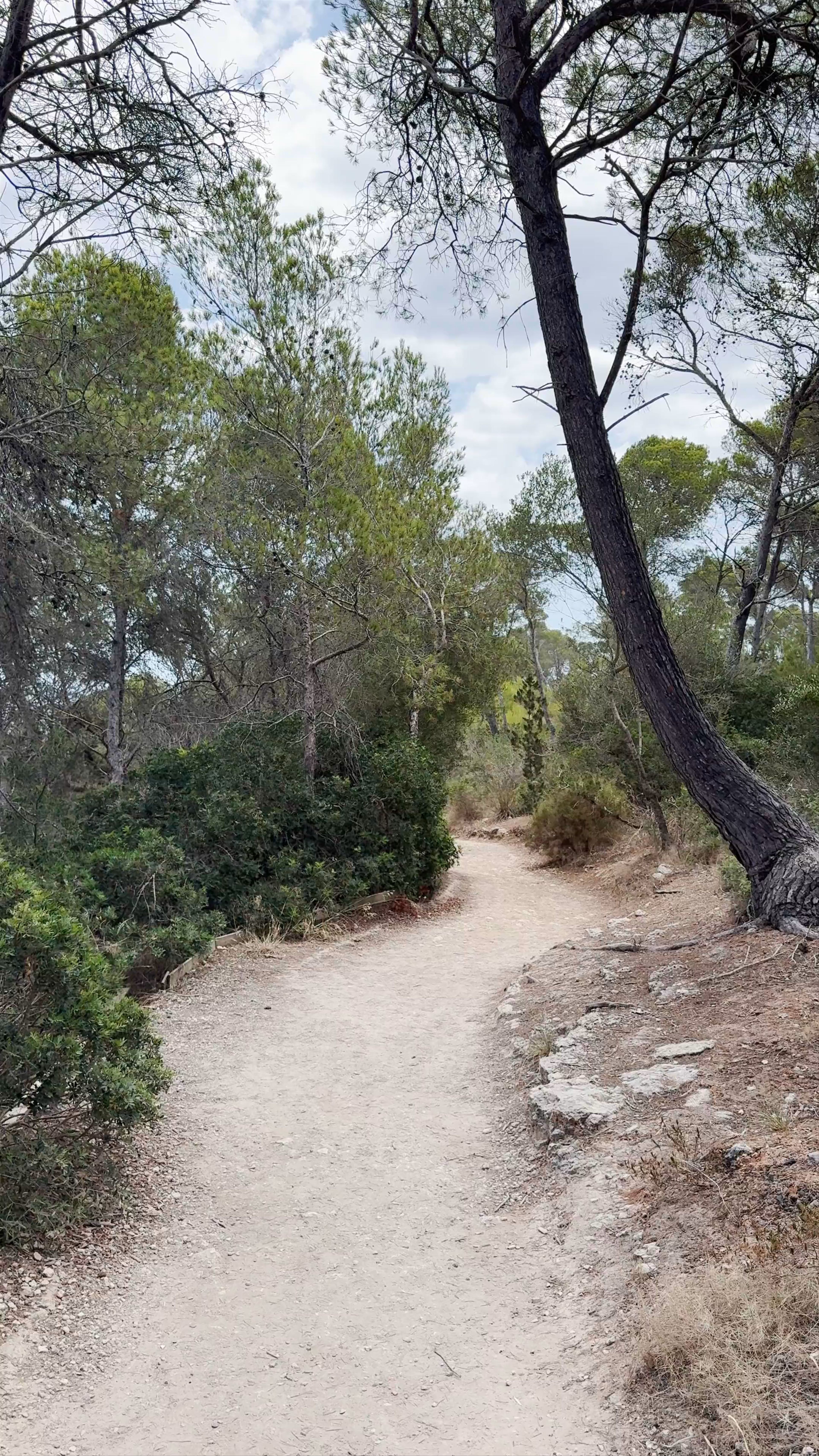 Tranquil Coastal Trail at Punta de ses Gatoves, Portopetro, Spain