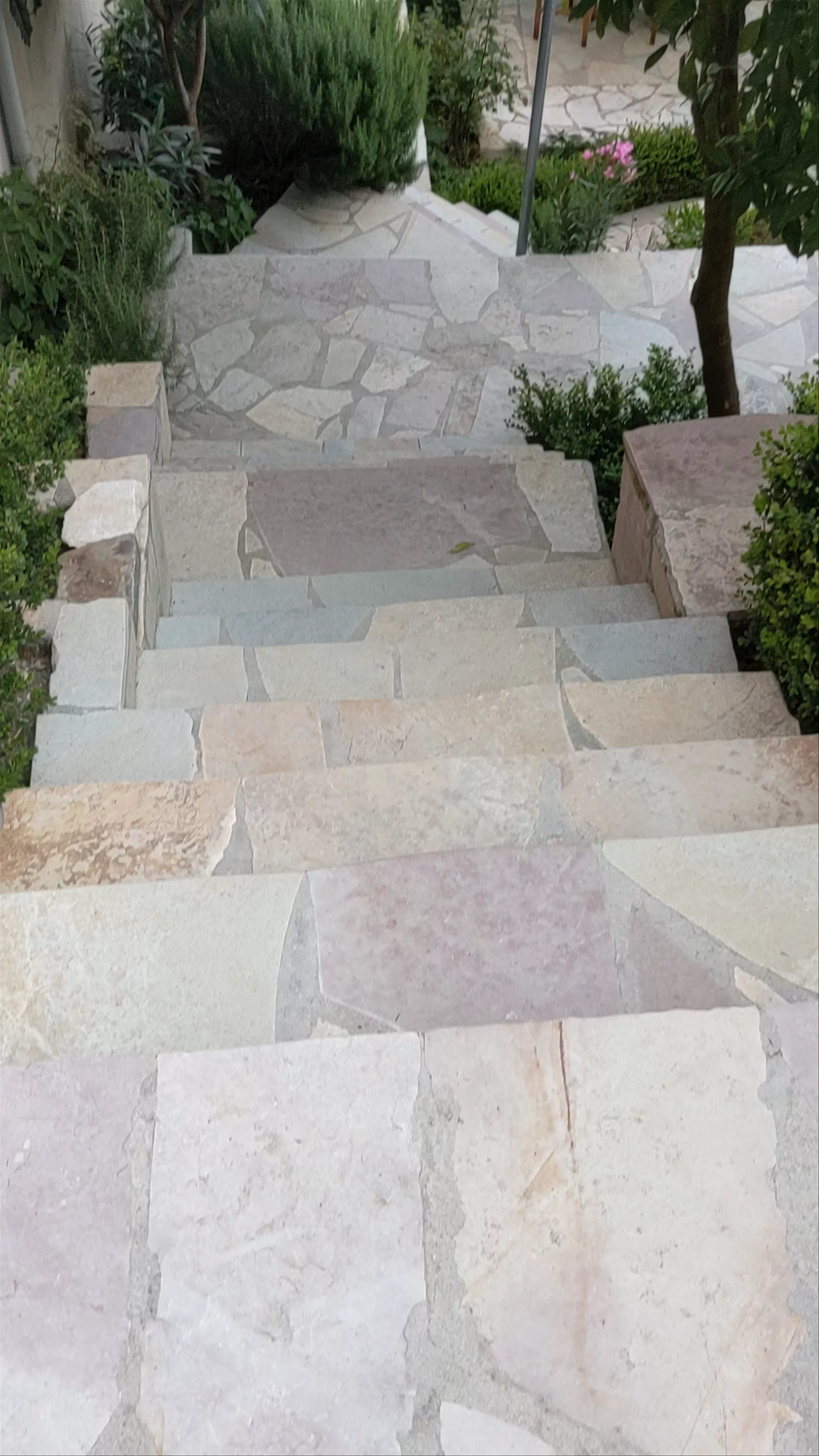Guest House Garden