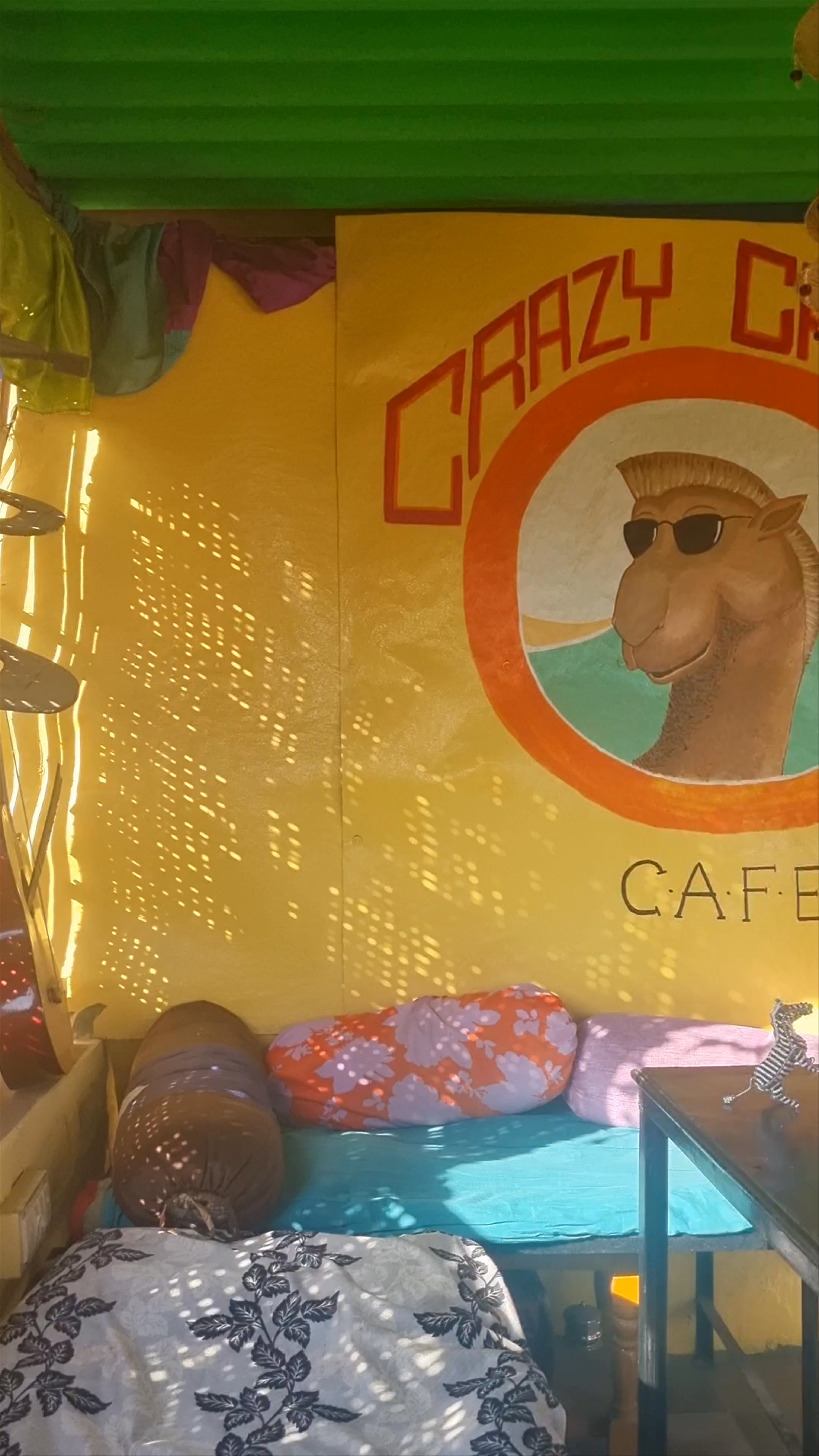 Crazy Camel Guest House