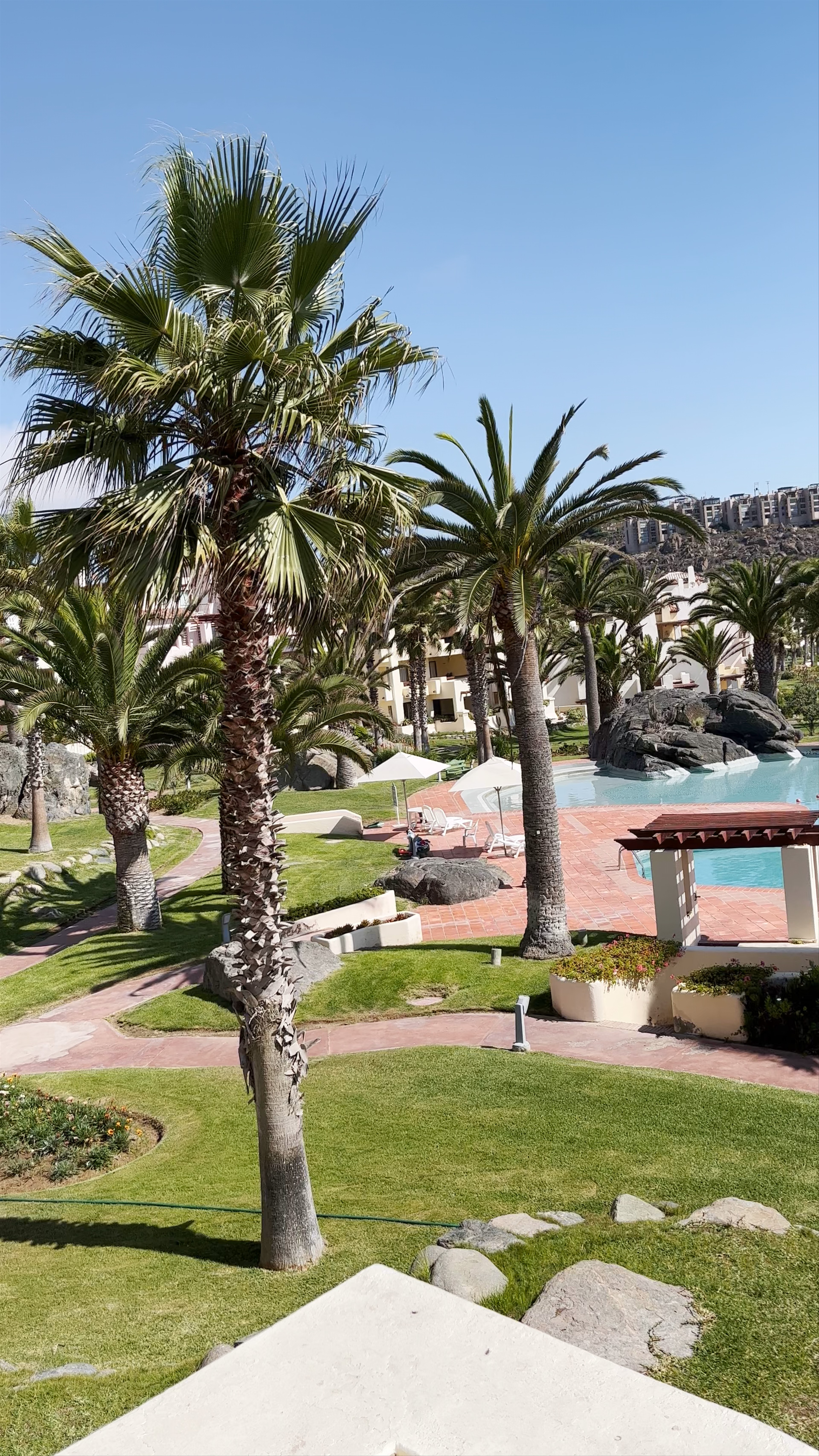 Sunlit Coastal Oasis at Las Tacas, Coquimbo, Chile