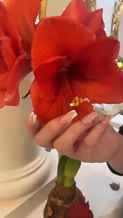 Bridgeport Nails - Will never go anywhere else. Mai is the best, she is so kind, fun, and amazing at completing the nails I want. Shout out to Mai!! - Skin Care Near Me - Tigard, Oregon