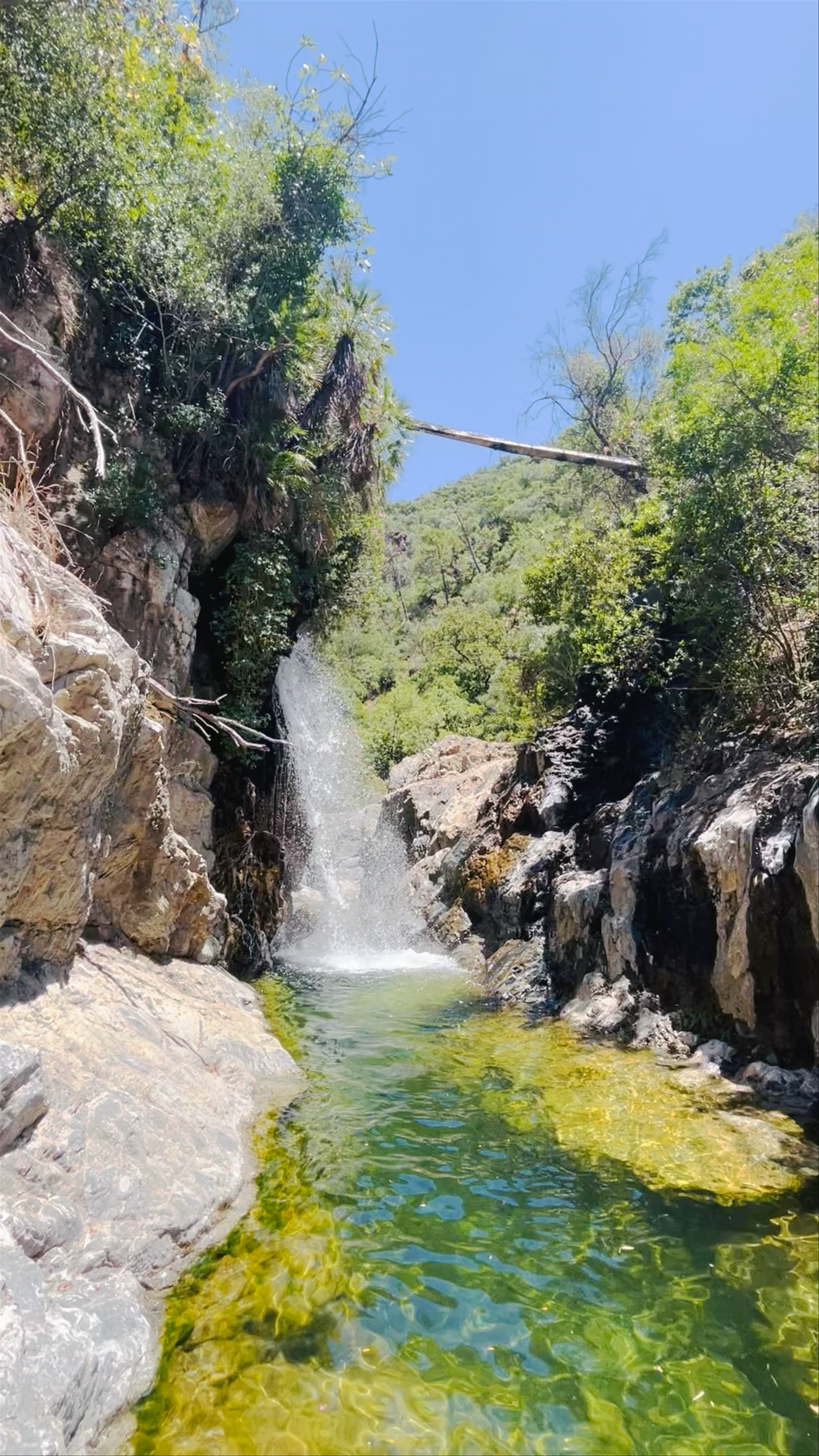 Sendero Charco La Huerta SL-A 241