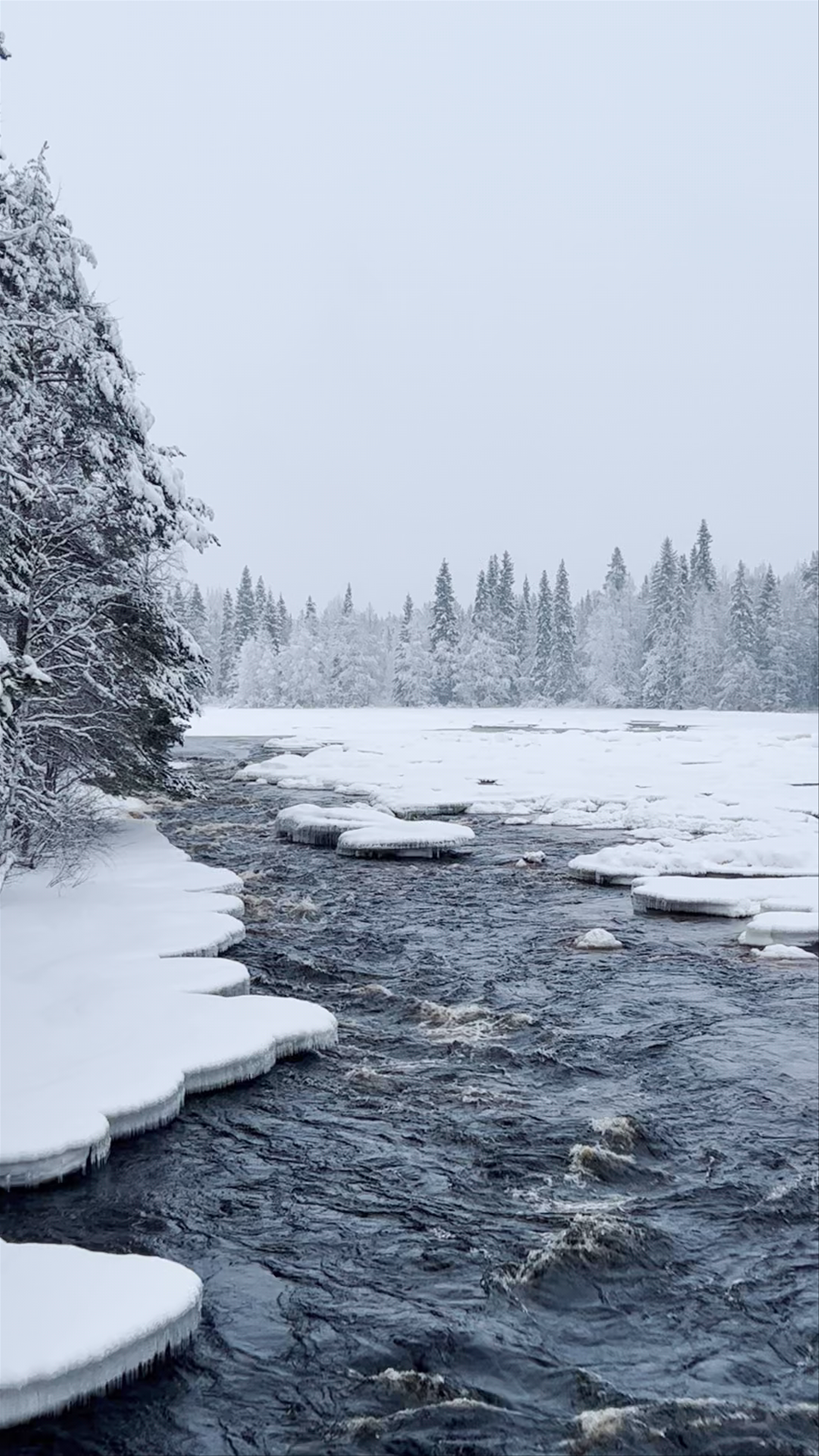 Arctic Circle Hiking Area