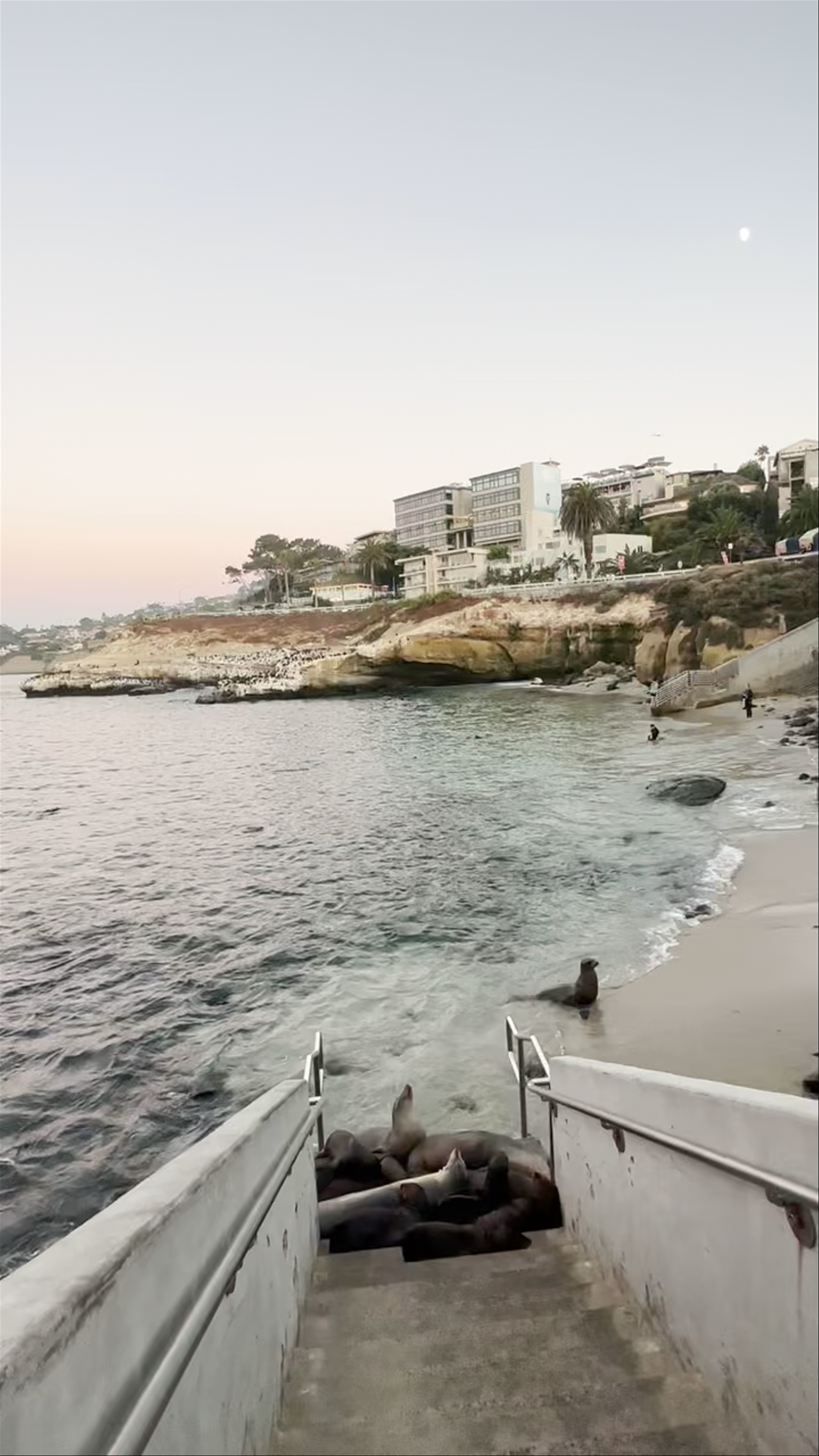 La Jolla Cove