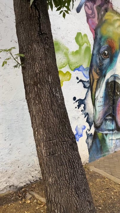 Jardín Pushkin - Parks Near Me - México, D.F., DIF