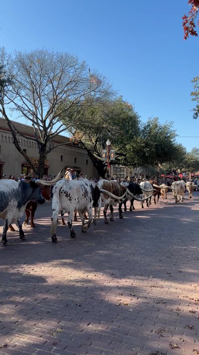 Fort Worth Stockyards - Landmarks & Historical Buildings Near Me - Fort Worth, Texas