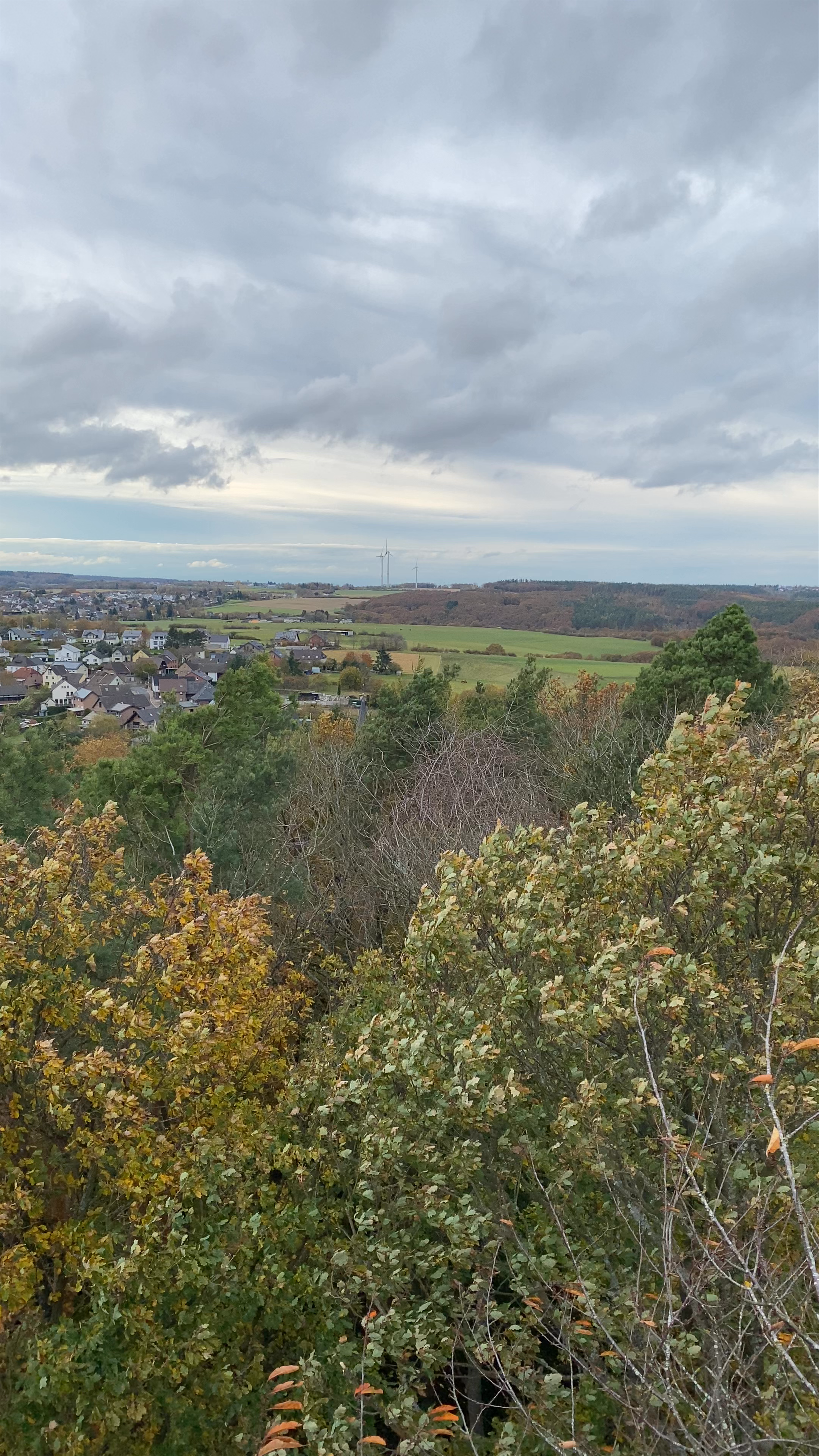 Krawutschketurm (Eifel-Blick Burgberg)