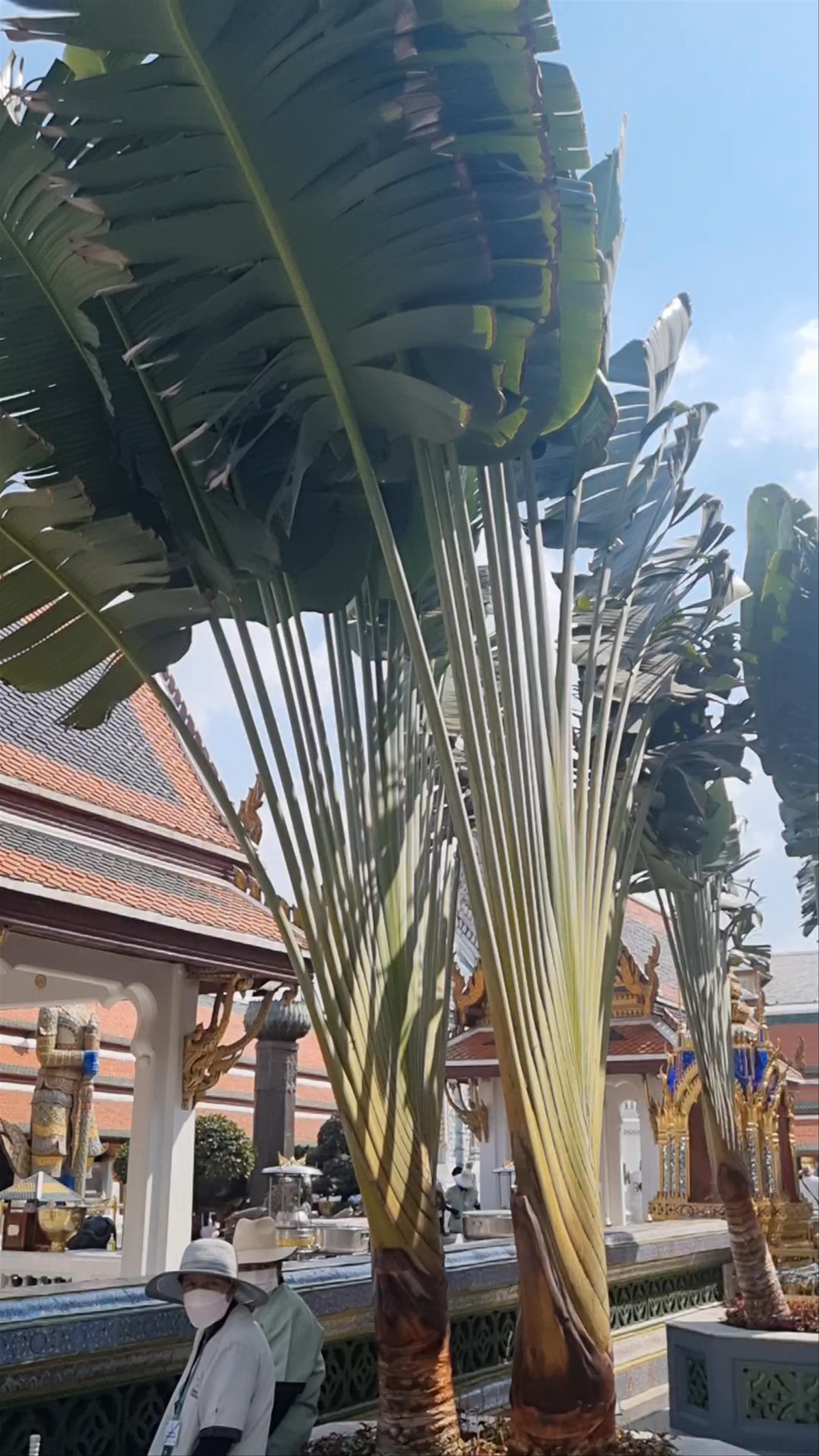 Temple of the Emerald Buddha - Wat Phra Si Rattana Satsadaram (Wat Phra Kaew)