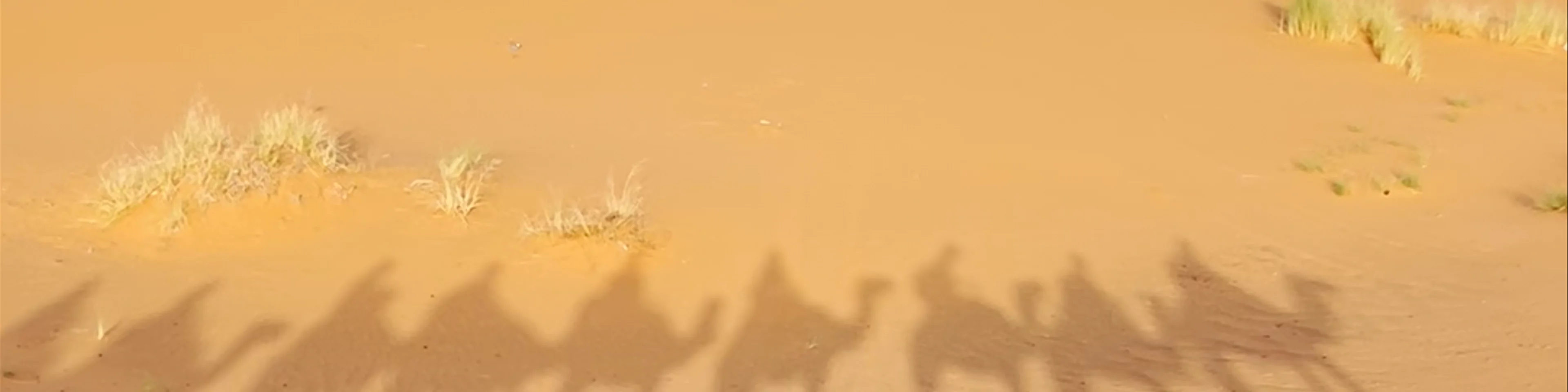 Desierto tours