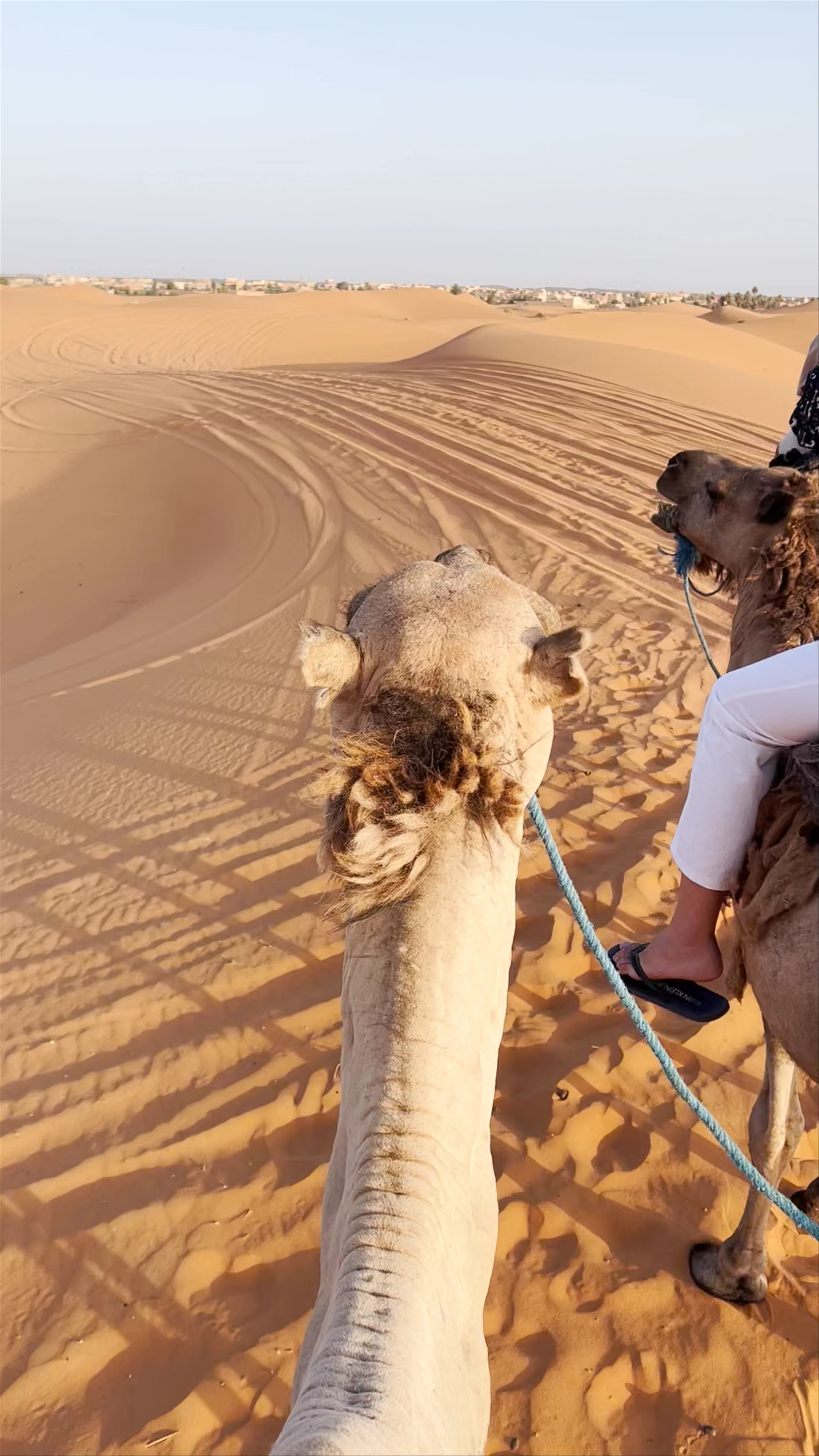 Desierto tours, Marrakesh, Morocco