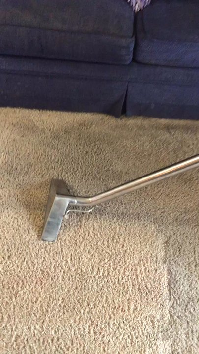 Coastal Carpet Systems - Great job Coastal! - Carpet Cleaning Near Me