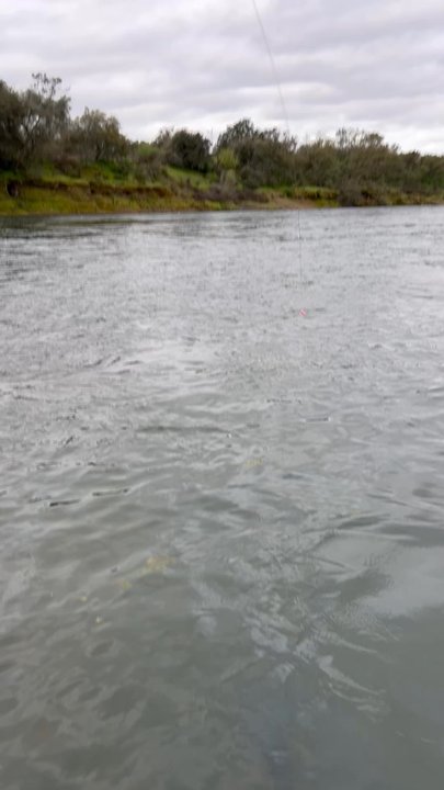 Off the Hook Fly Fishing - Travel Services Near Me - Napa, California