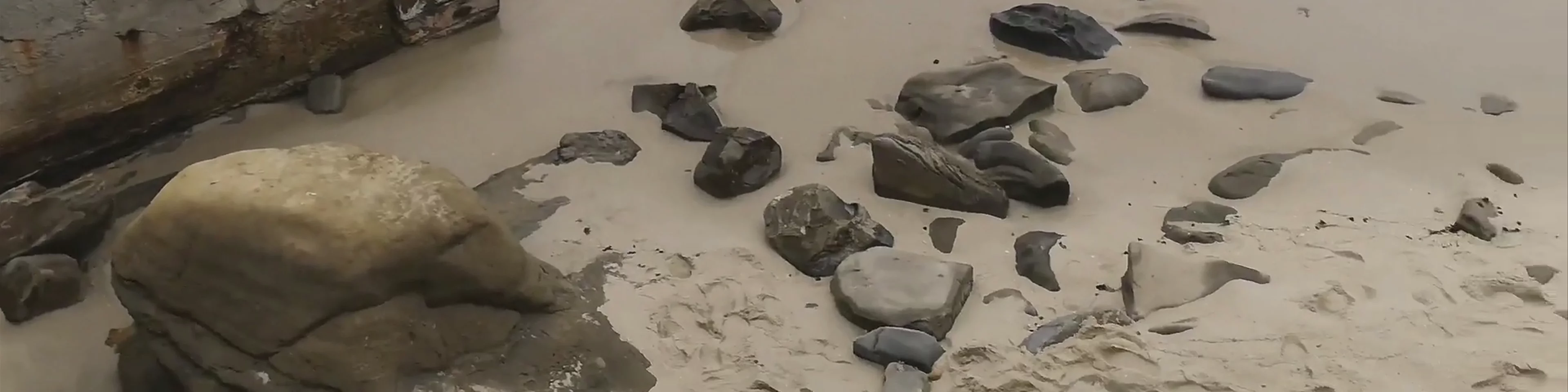La Jolla Cove