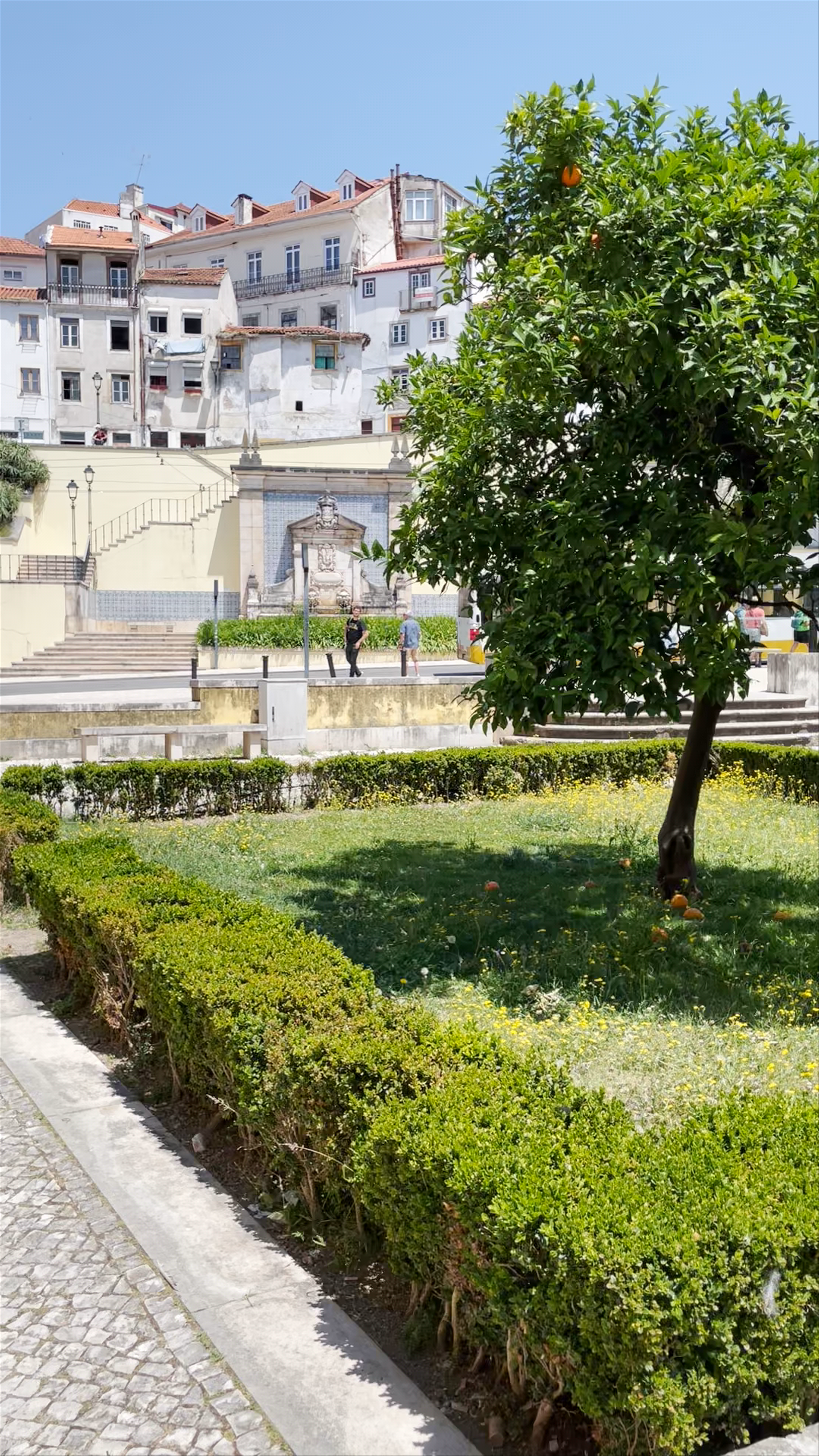 Fonte da Manga: A Hidden Oasis in Historic Coimbra