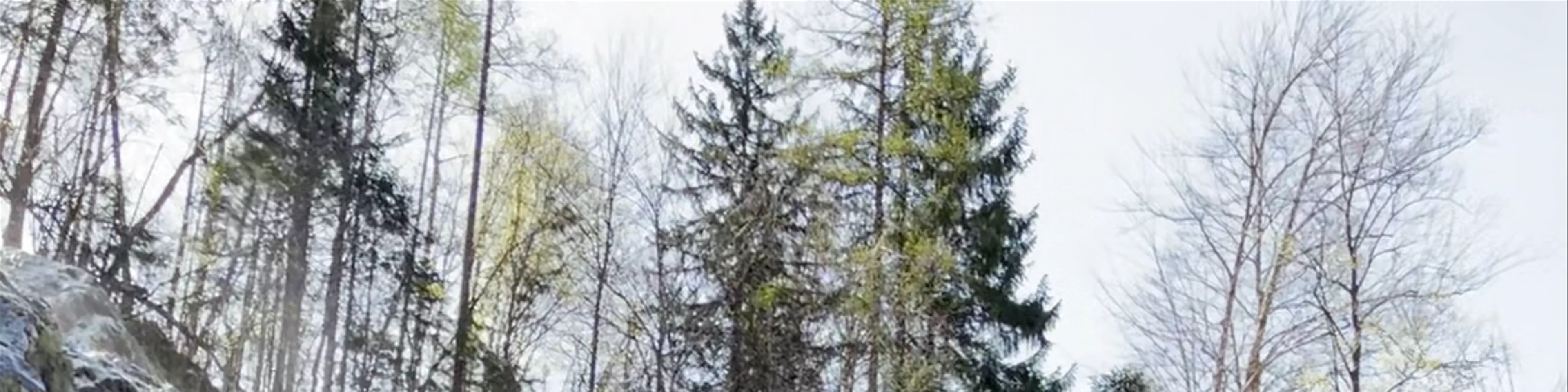 Palenk Waterfall