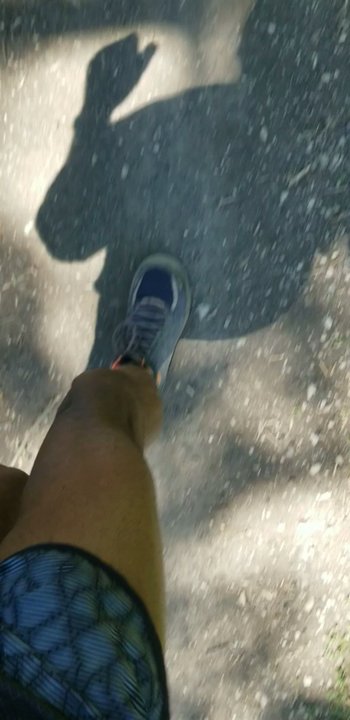 Fullerton Woods - Hiking Near Me - River Grove, Illinois
