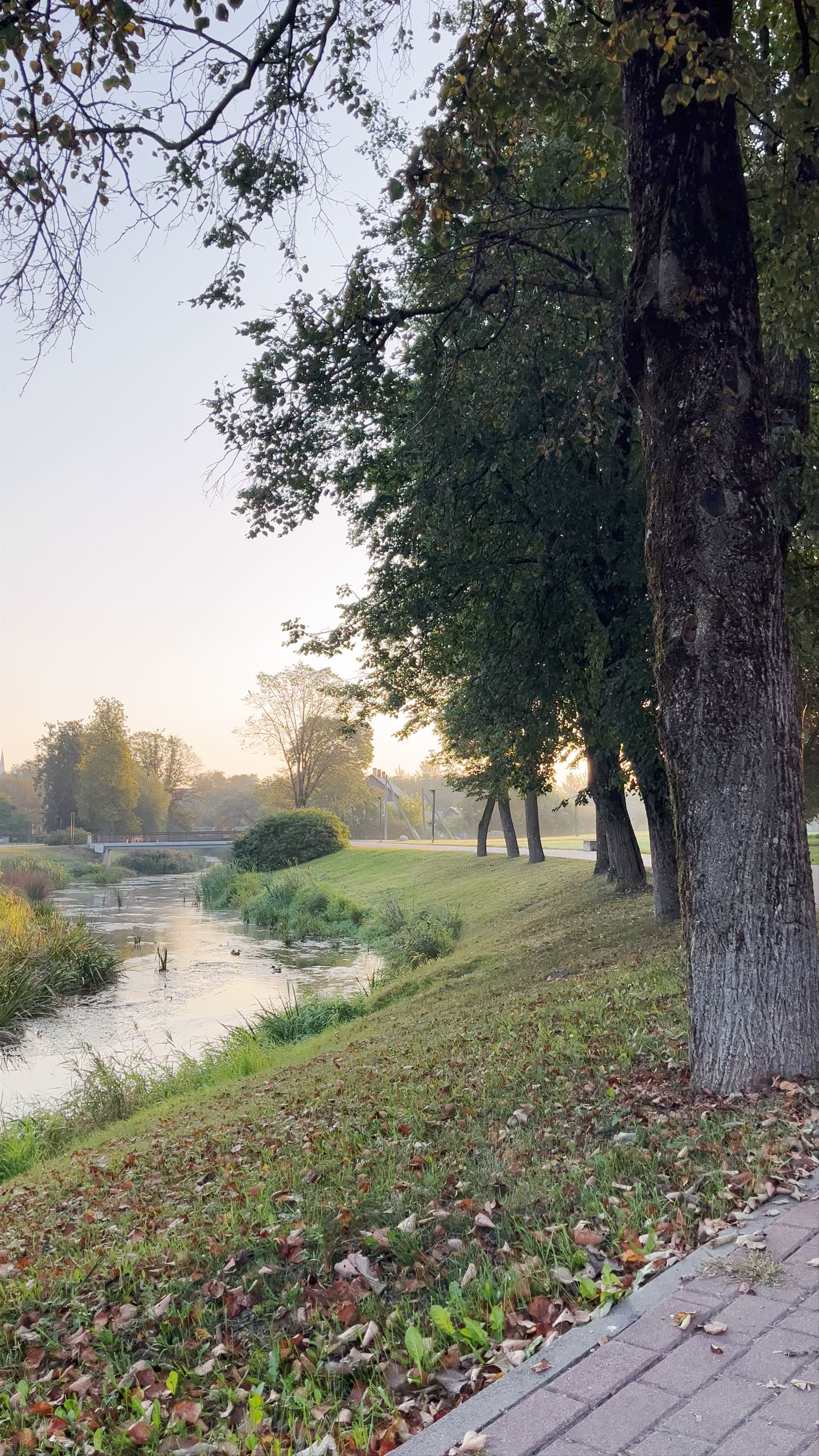 Rēzeknes promenāde