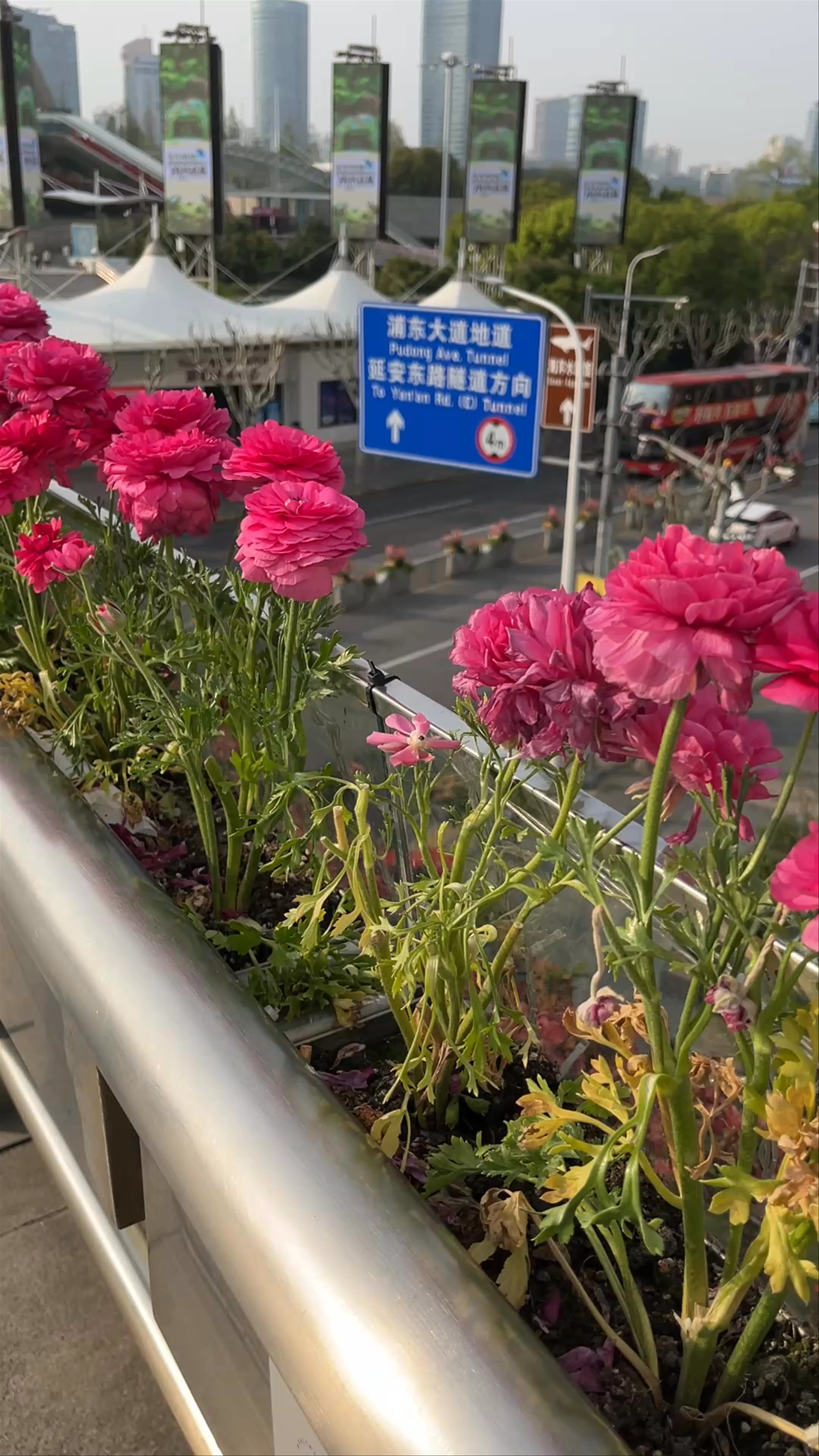 Oriental Pearl Tower, Shiji Boulevard, Lujiazui, Pudong, Shanghai, China