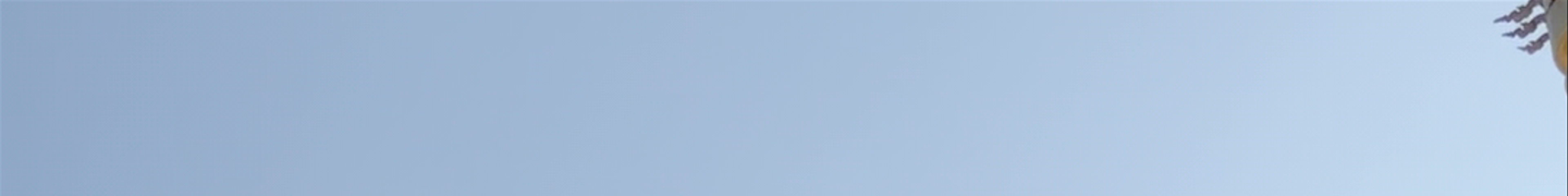 Tours & experiences in Thailand