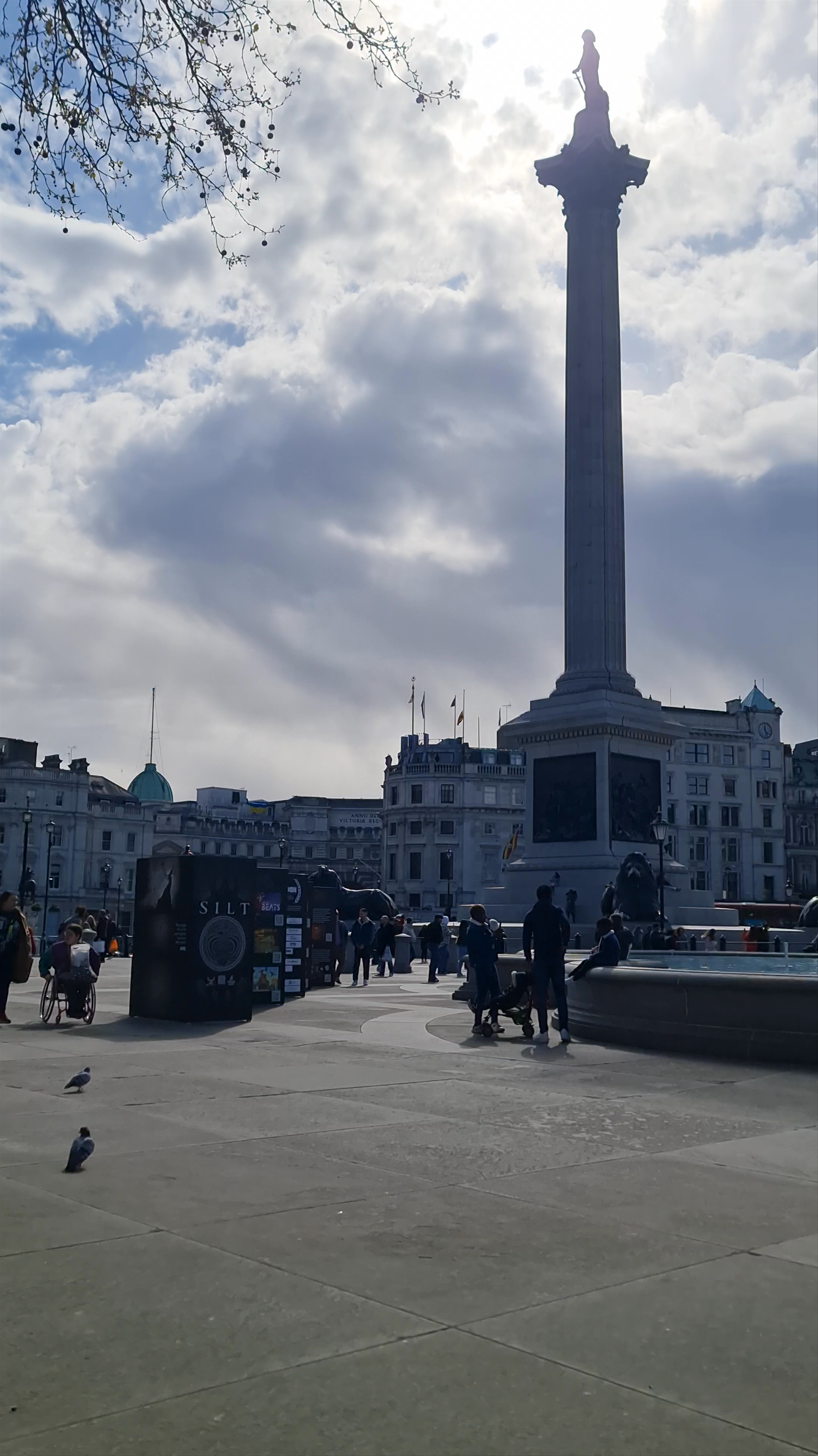 Trafalgar Square: Iconic London Urban Hub