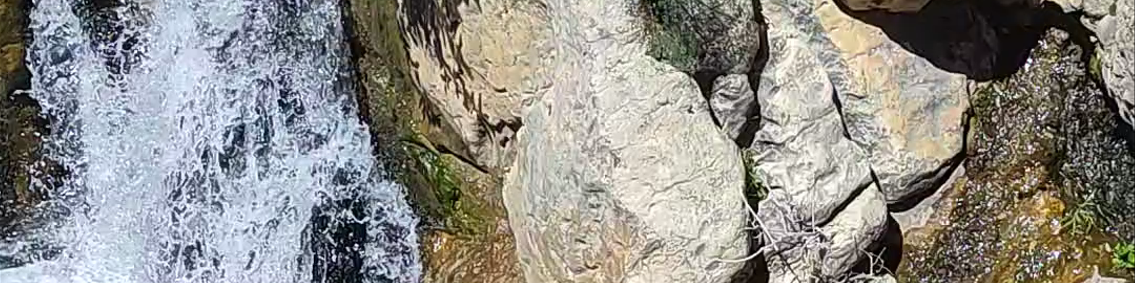 Cazorla