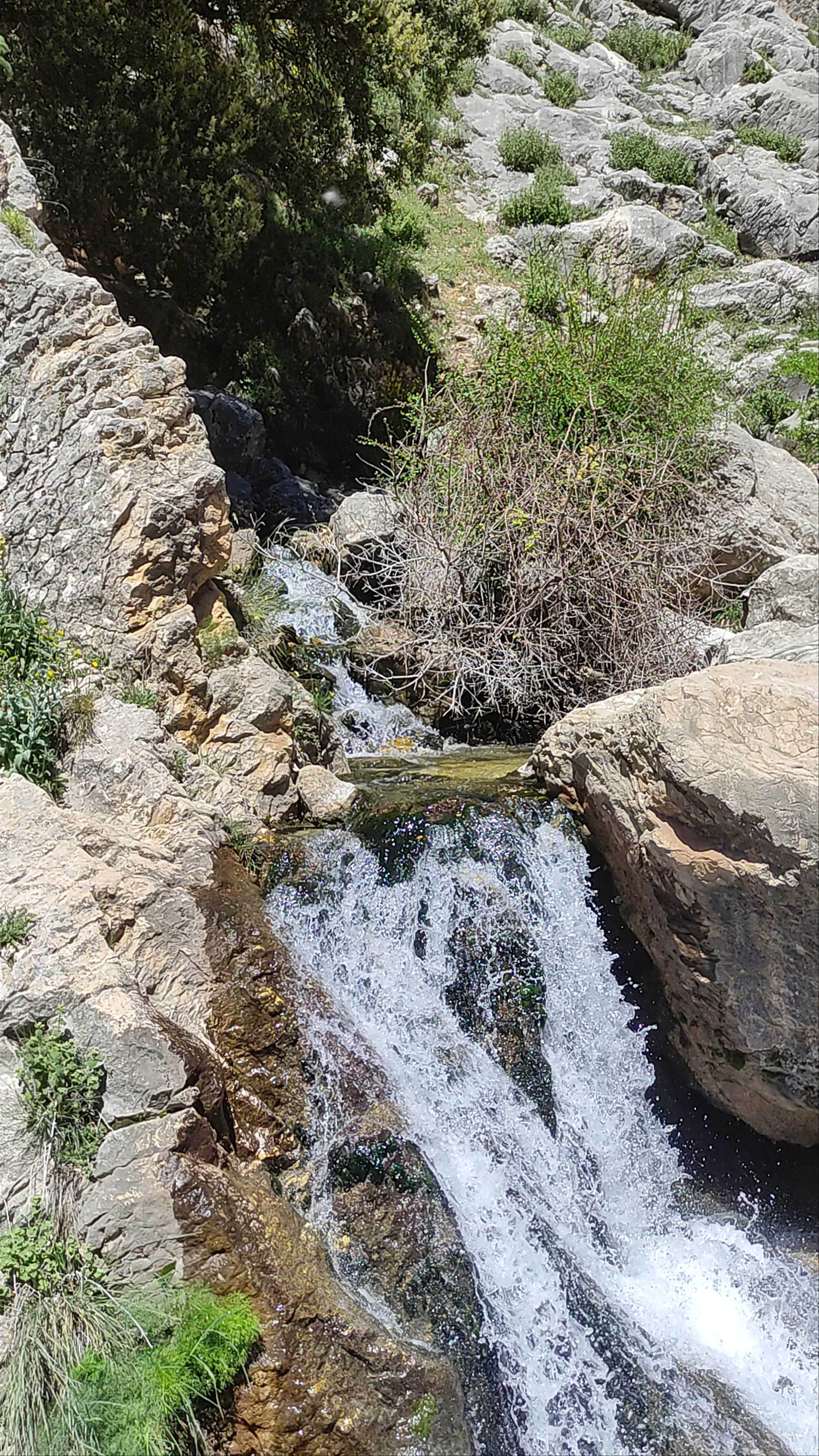Reserva Natural Subterránea Nacimiento Rio Castril (Nature Reserve)
