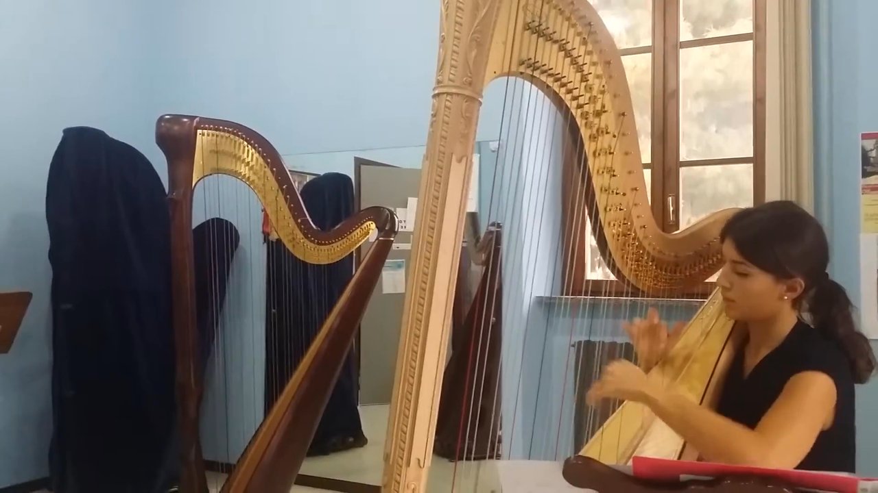 Sofi Harpist - Hasselmans La Source - video 5
