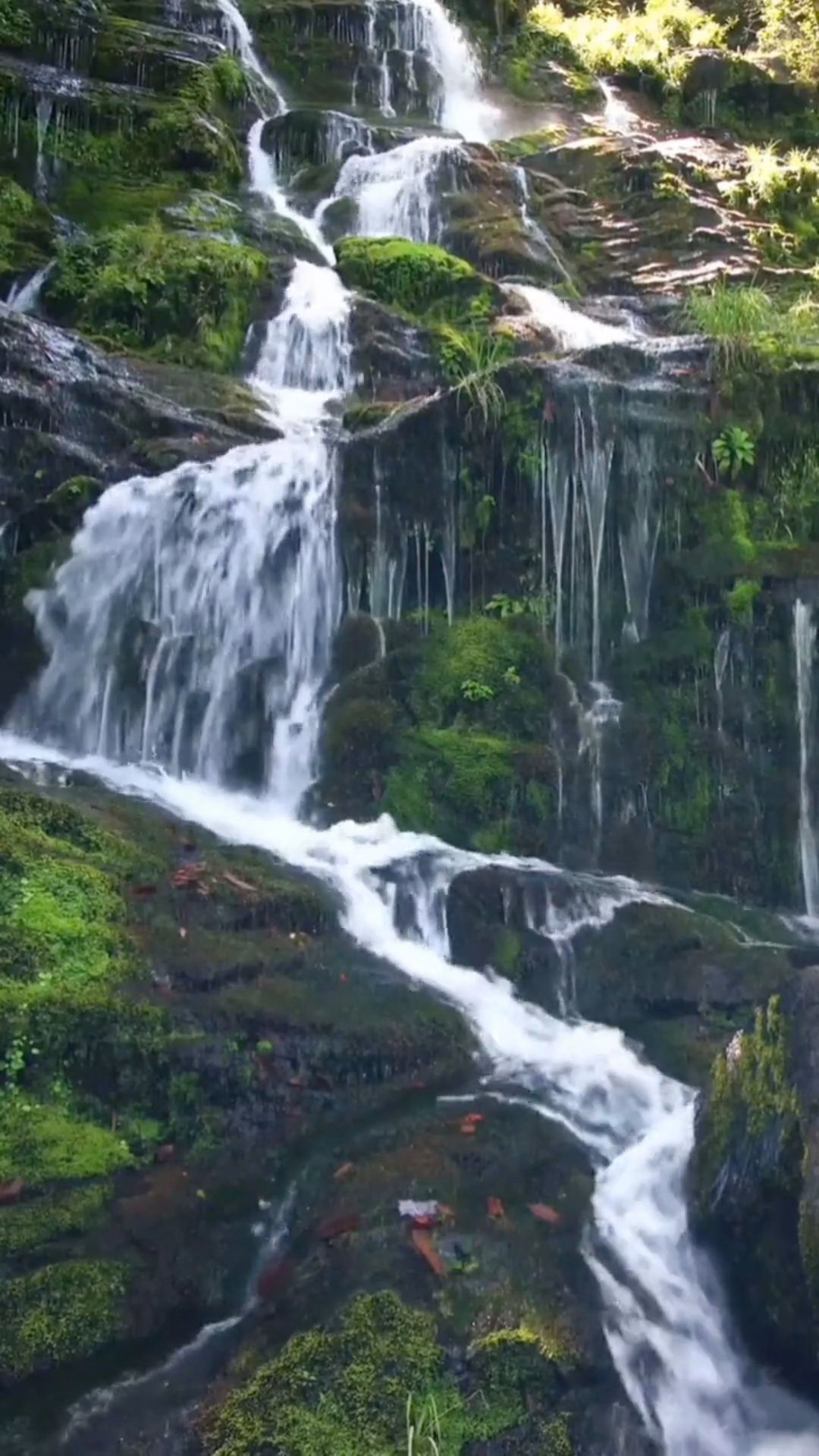 Moses 8:13 - Hearkened thumbnail