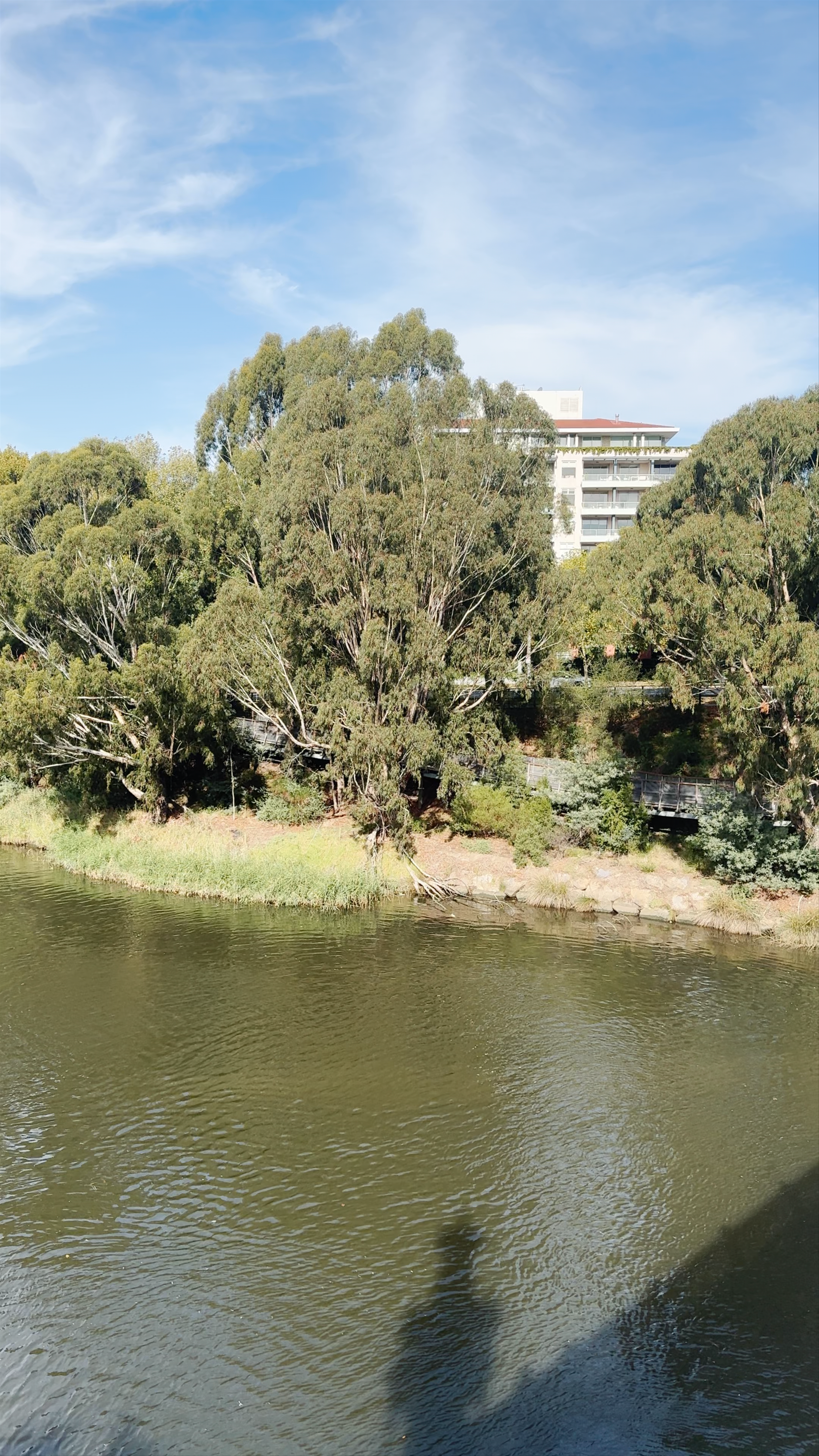 Yarra River Walking Track