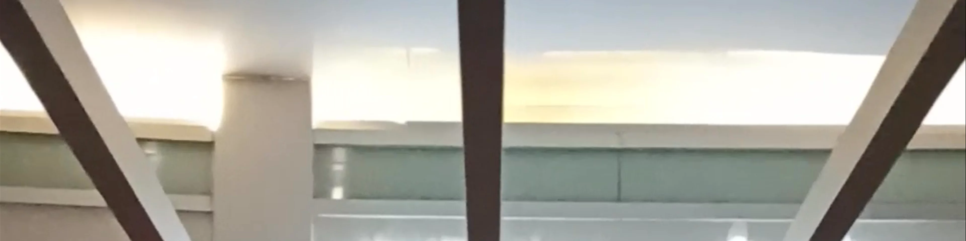 Mirai.